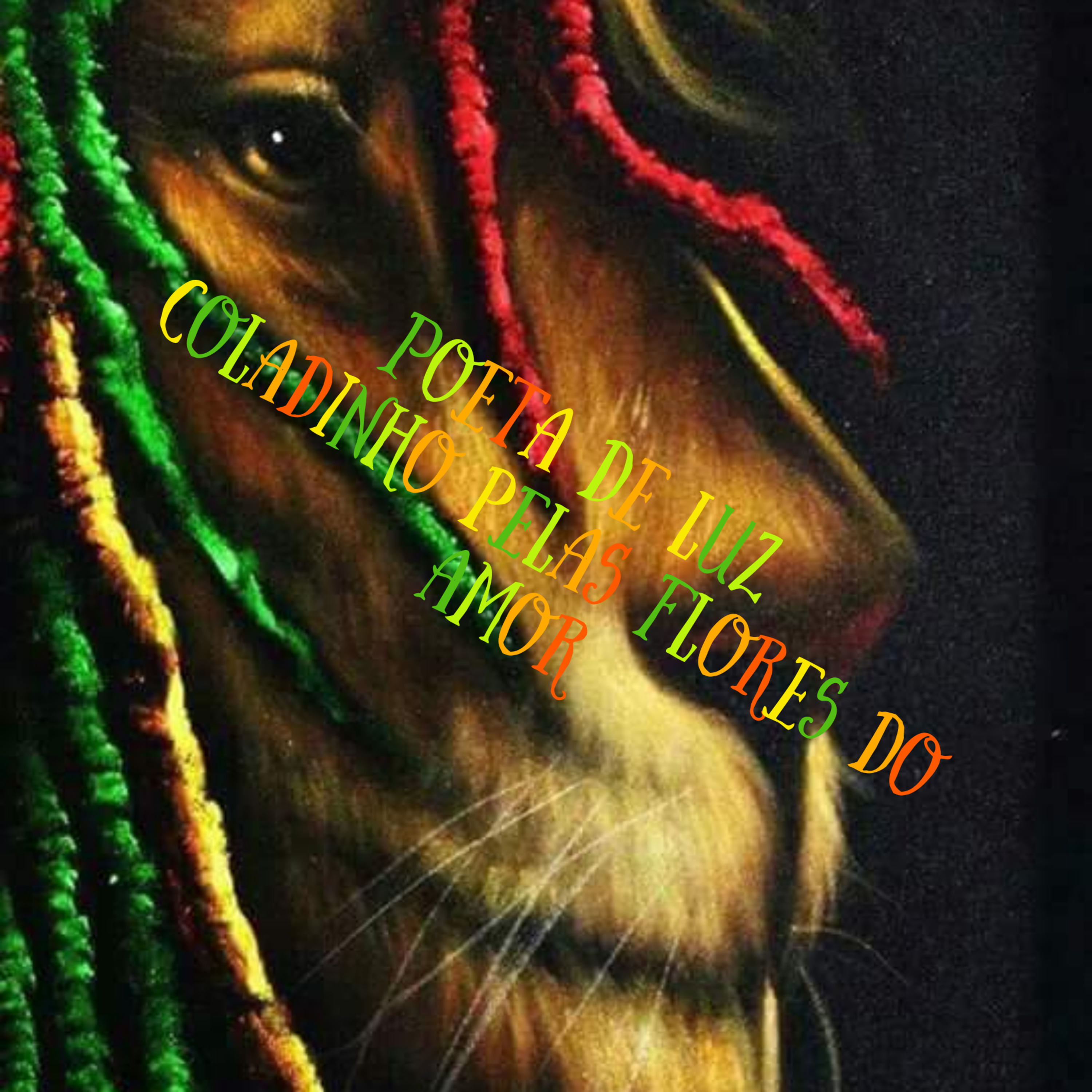 Poeta de luz Coladinho pelas flores do amor episode artwork
