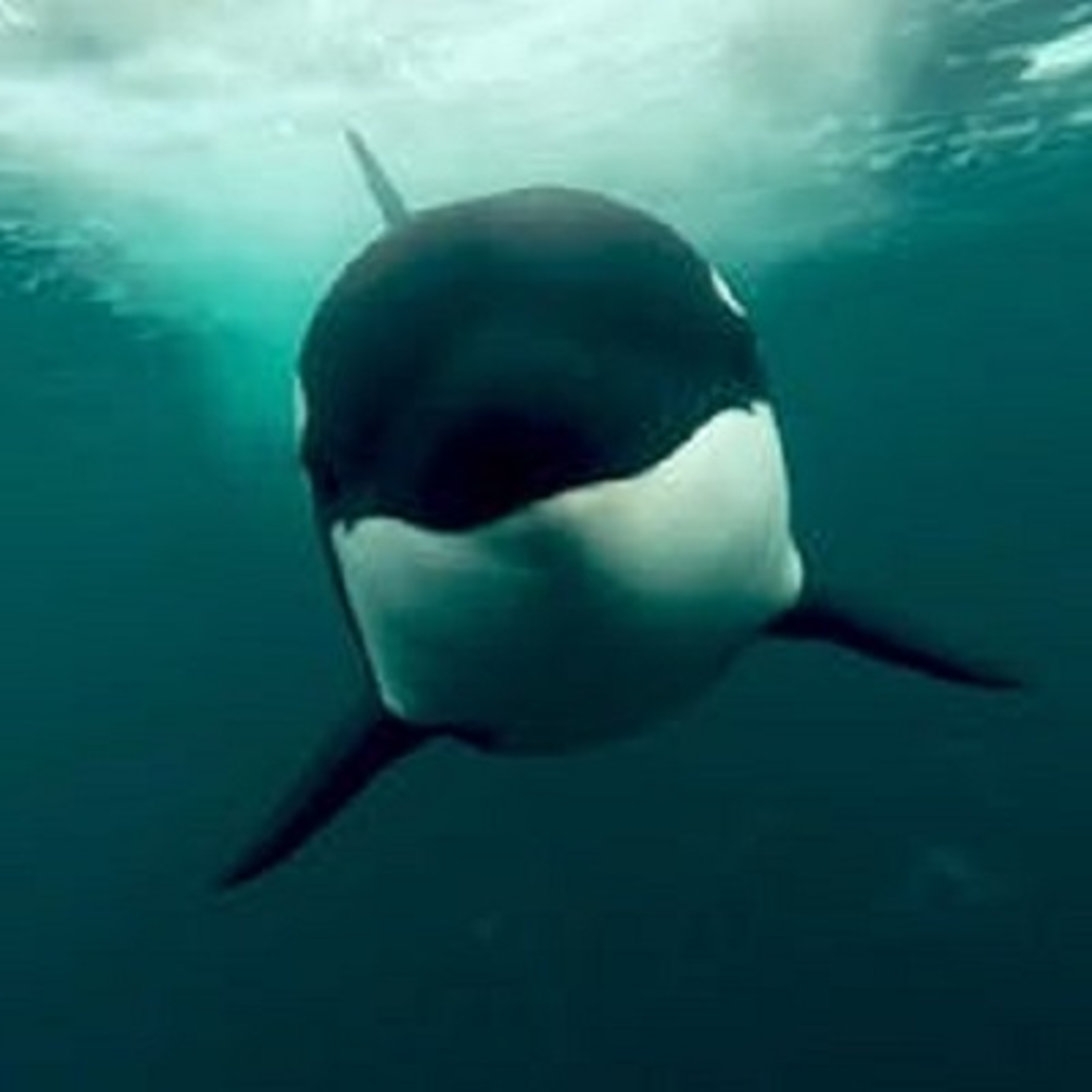 Sea2SkyPodcast