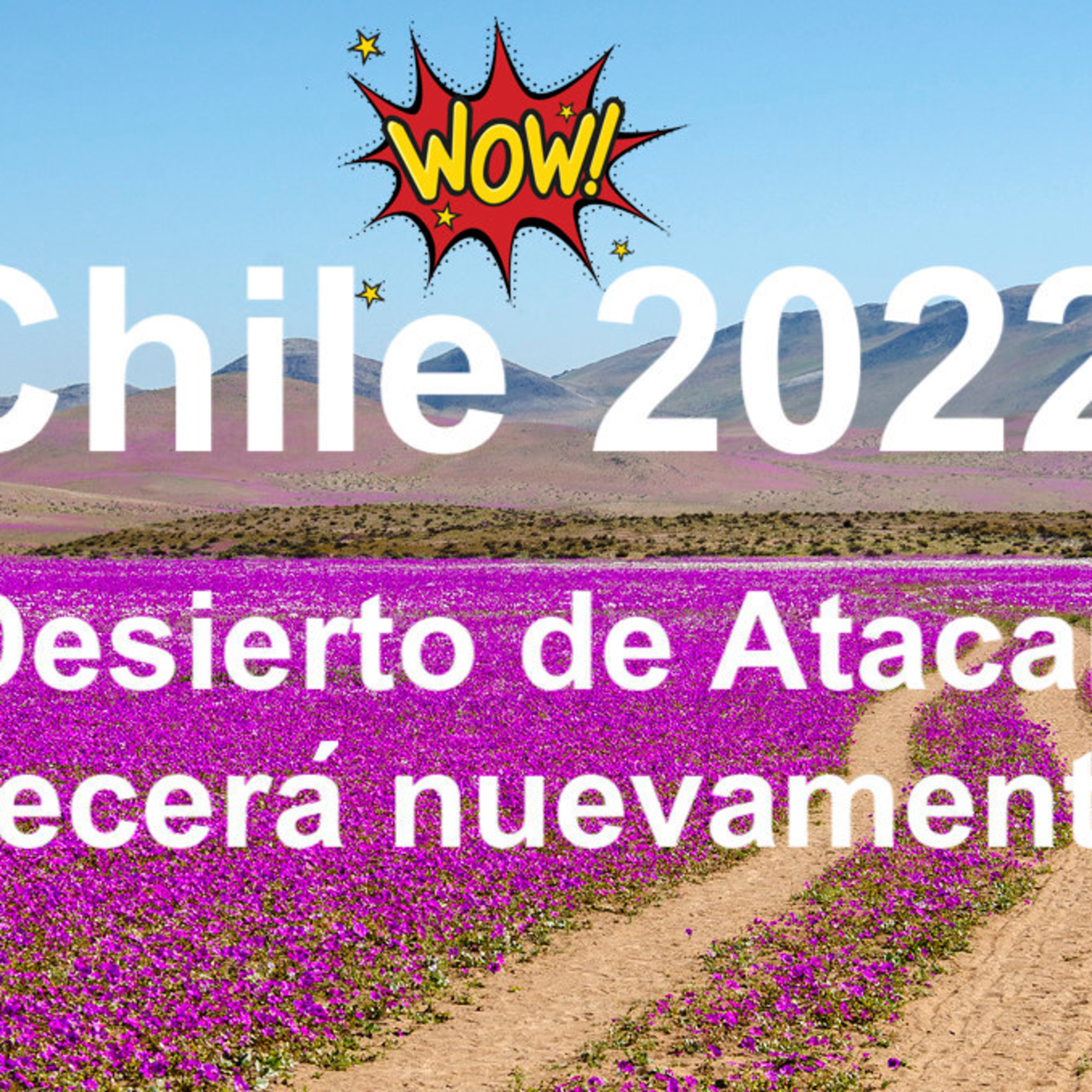 Soluciones Ecoviables