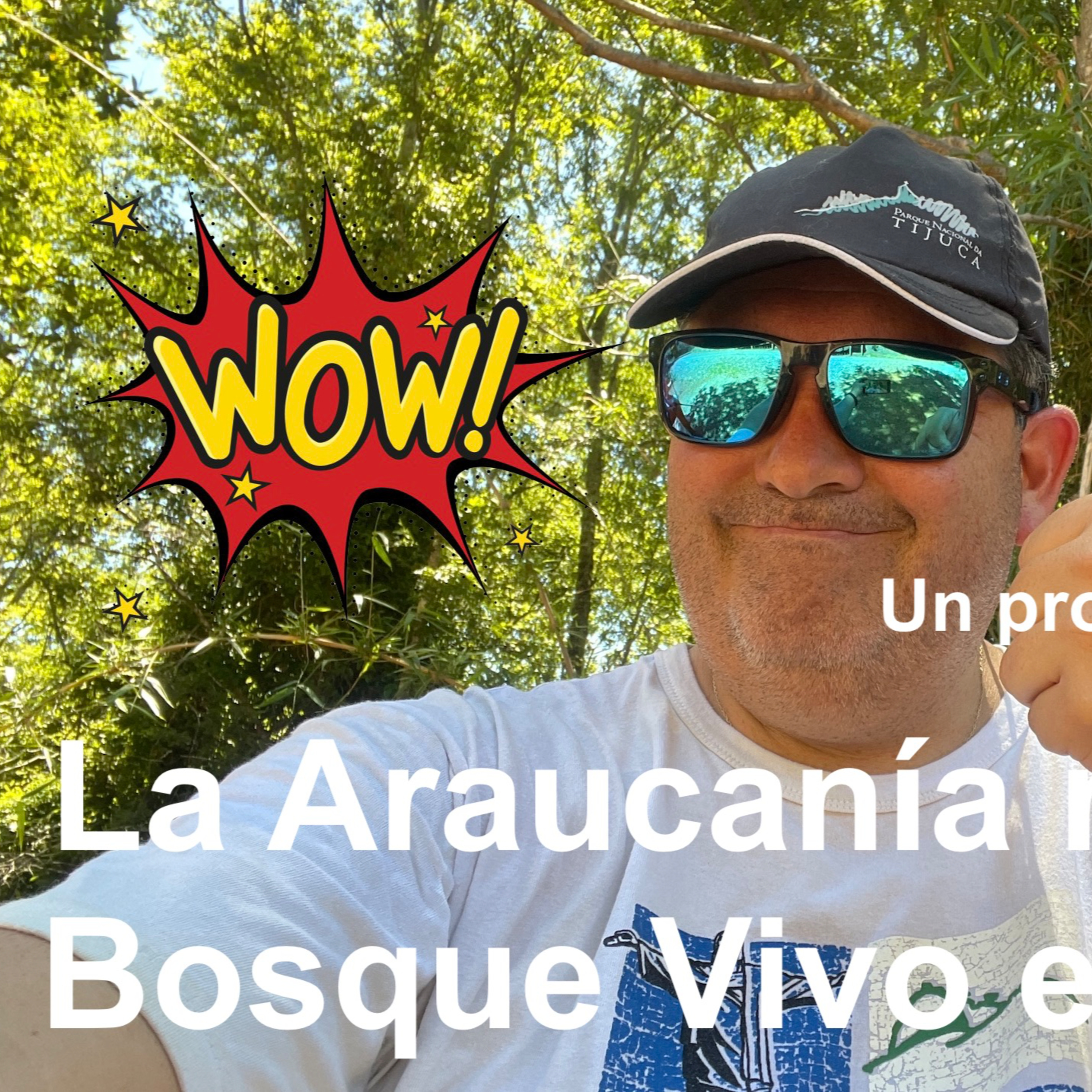 Soluciones Ecoviables