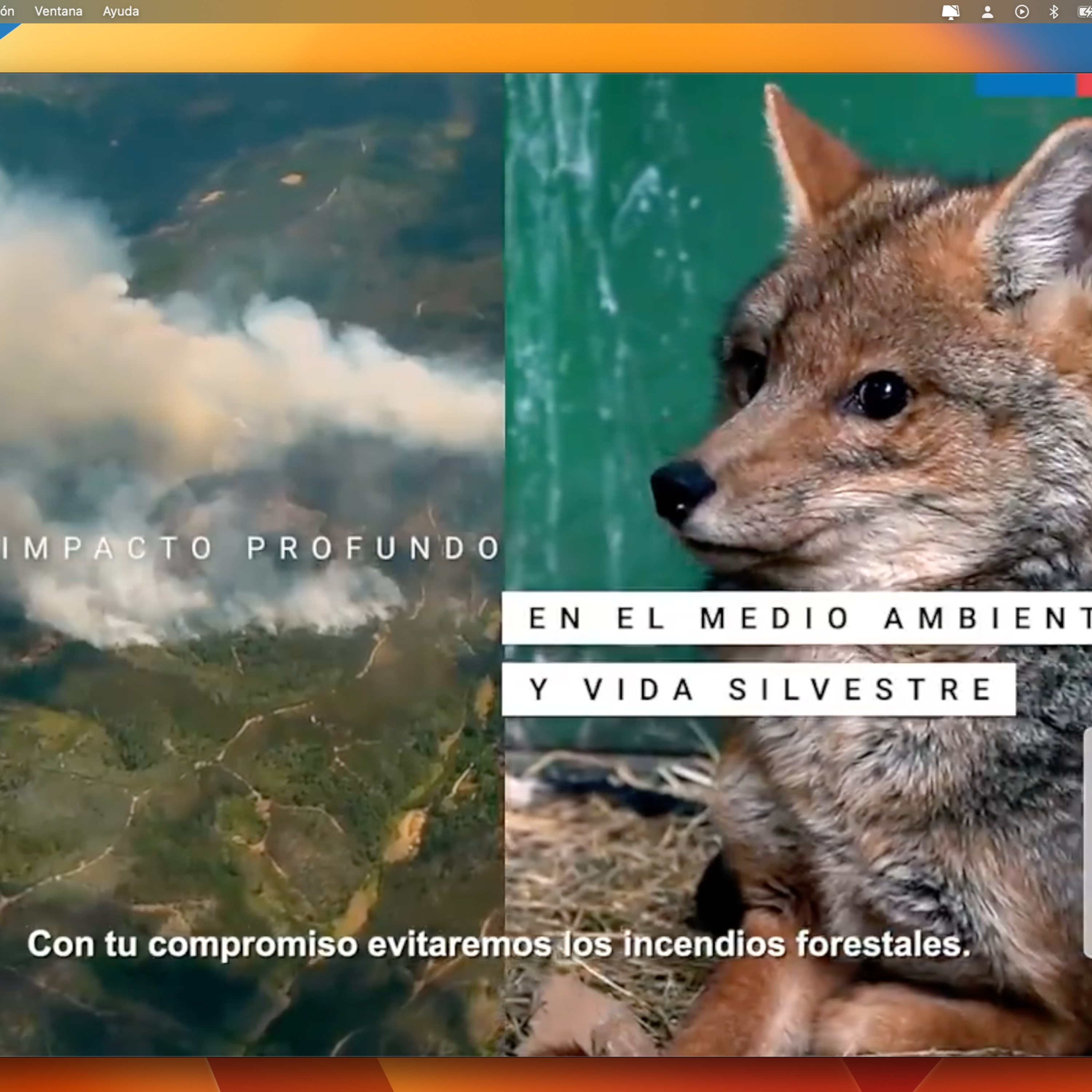 Soluciones Ecoviables