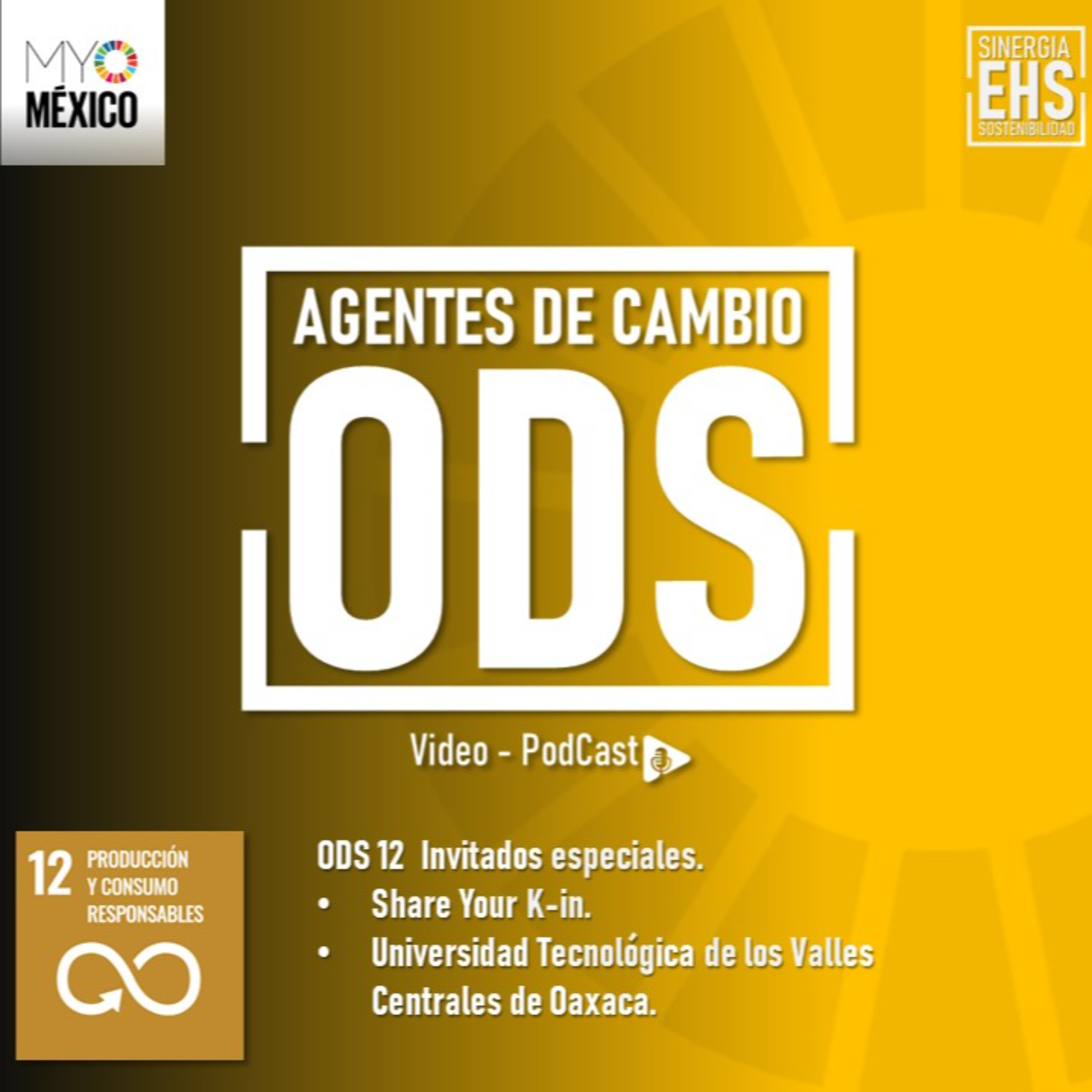 Agentes de Cambio ODS