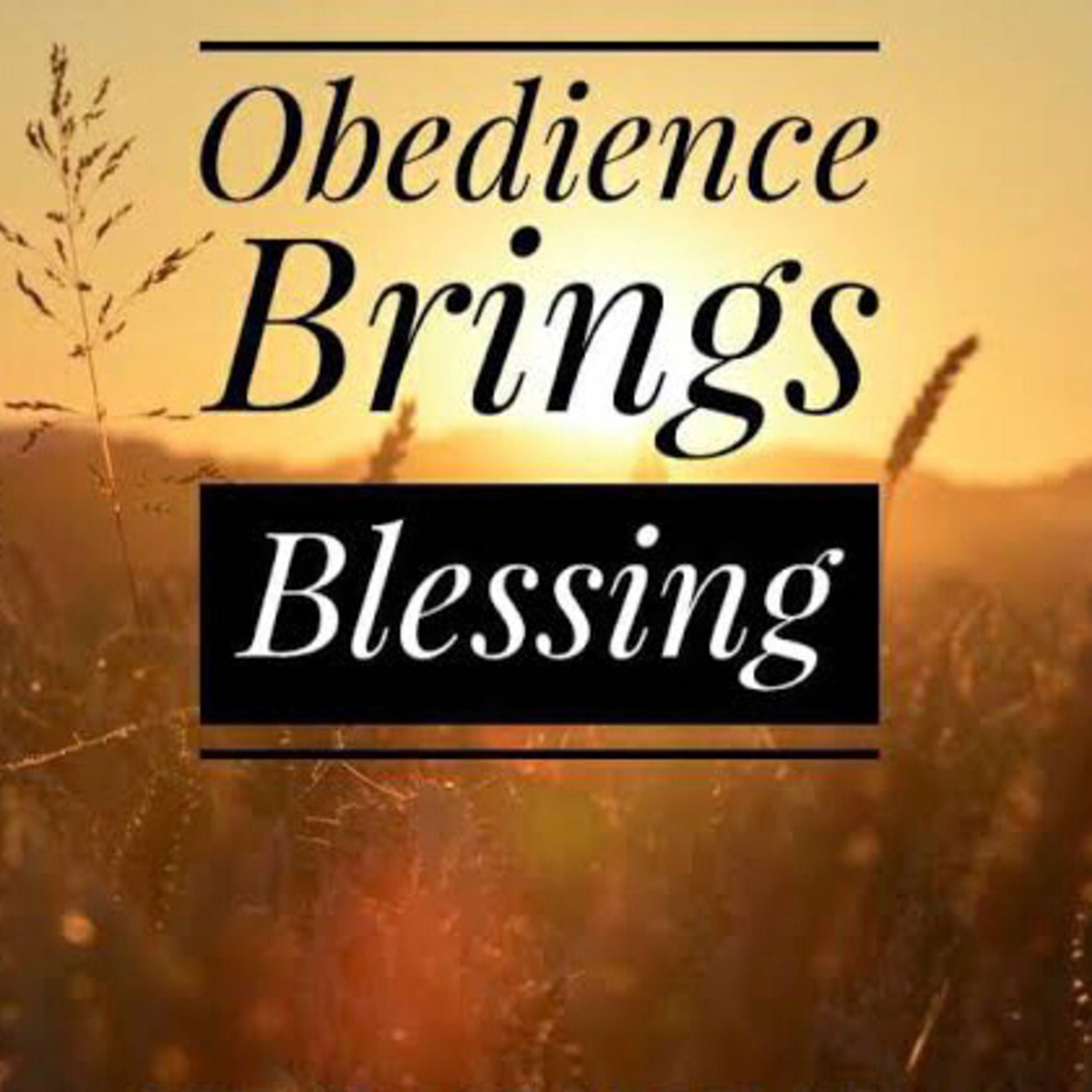 OBEDIENCE BRINGS BLESSINGS  episode artwork