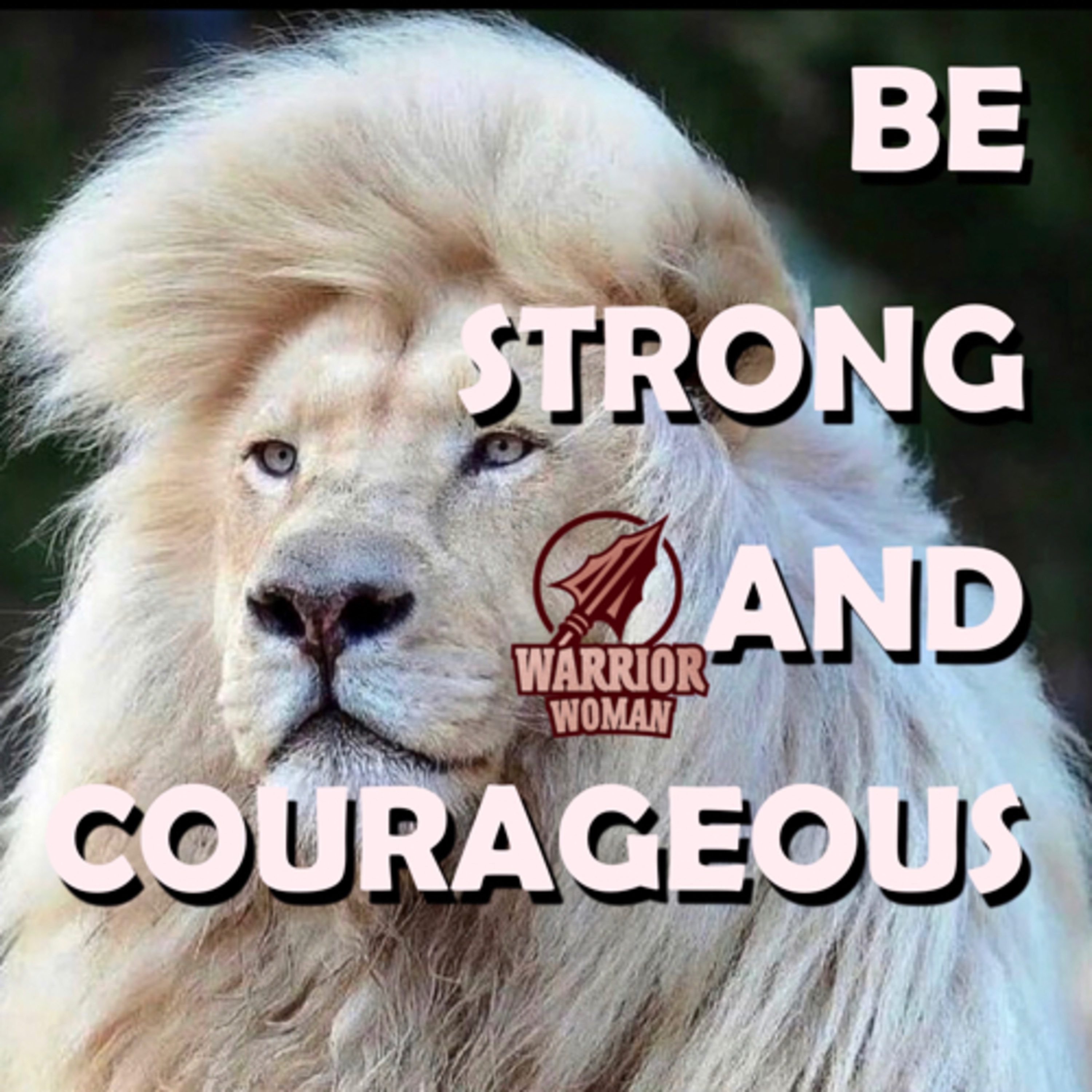BE STRONG & COURAGEOUS  episode artwork