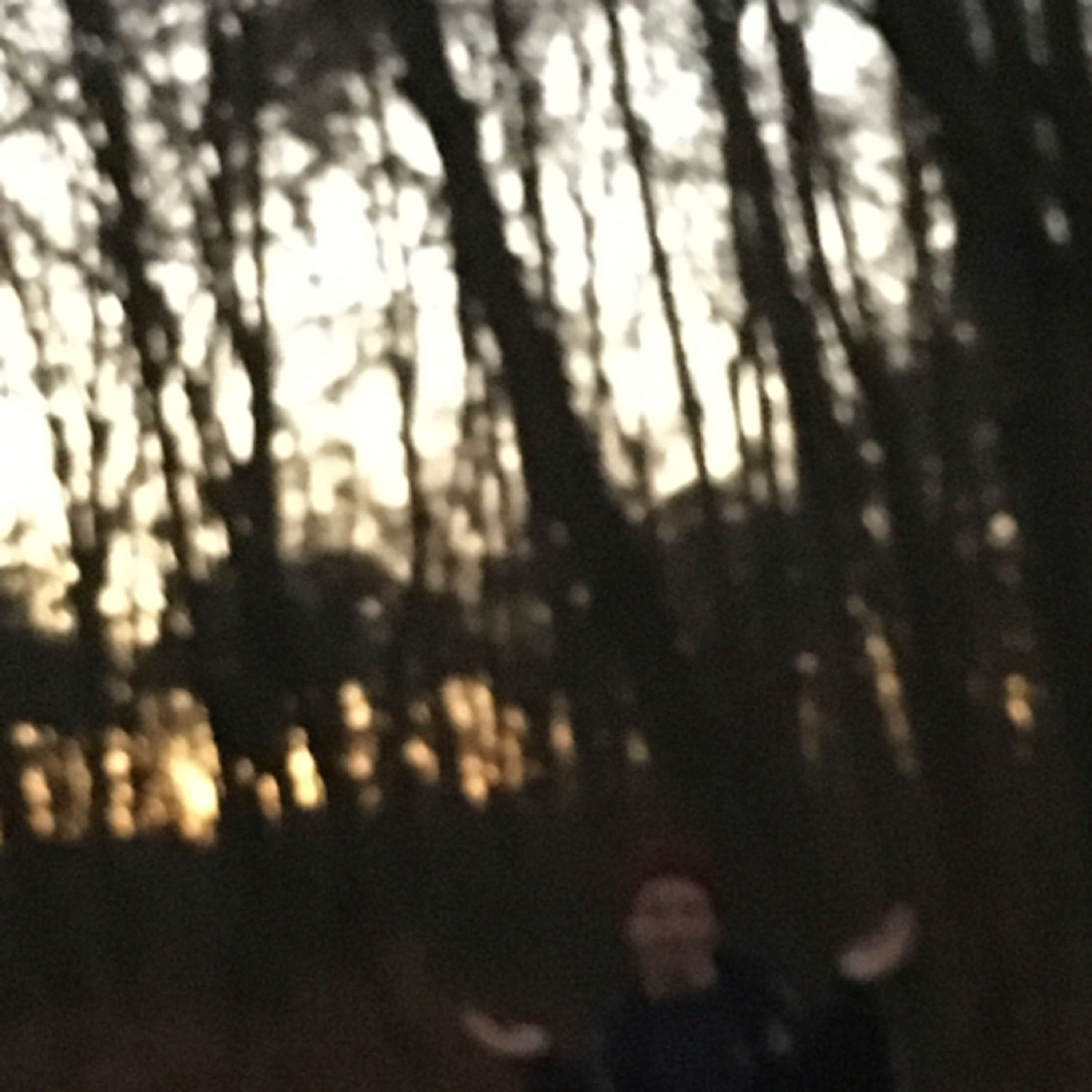 RotundRund