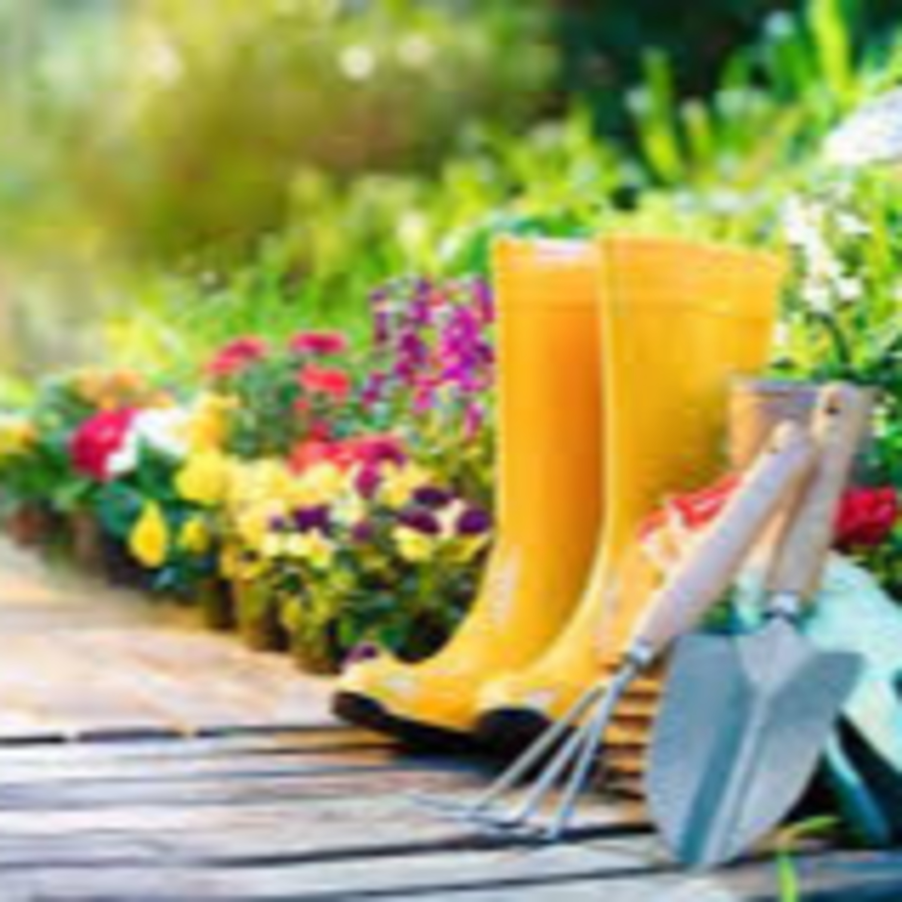 The Things You Need To Know About Gardening 
