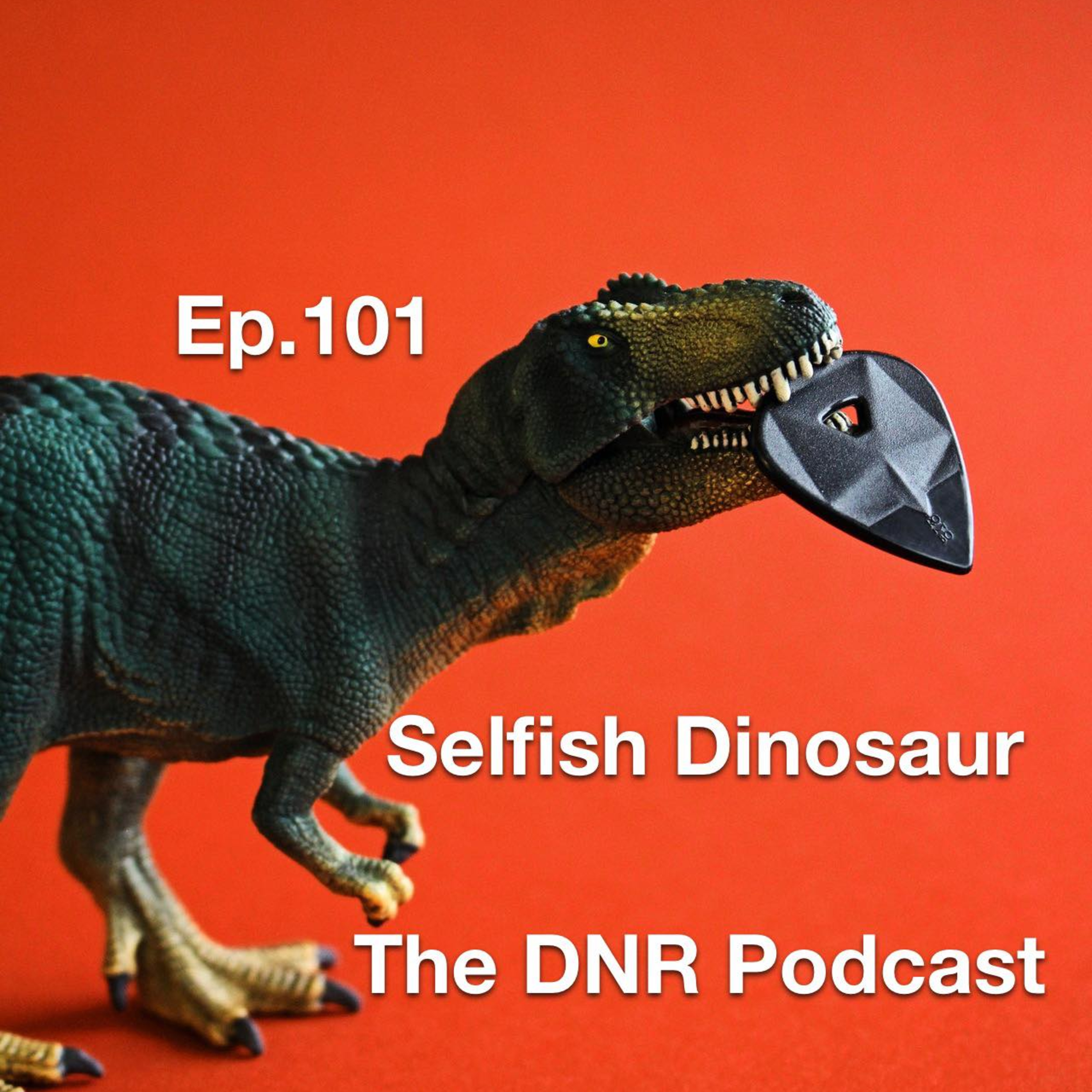 the DNR Podcast