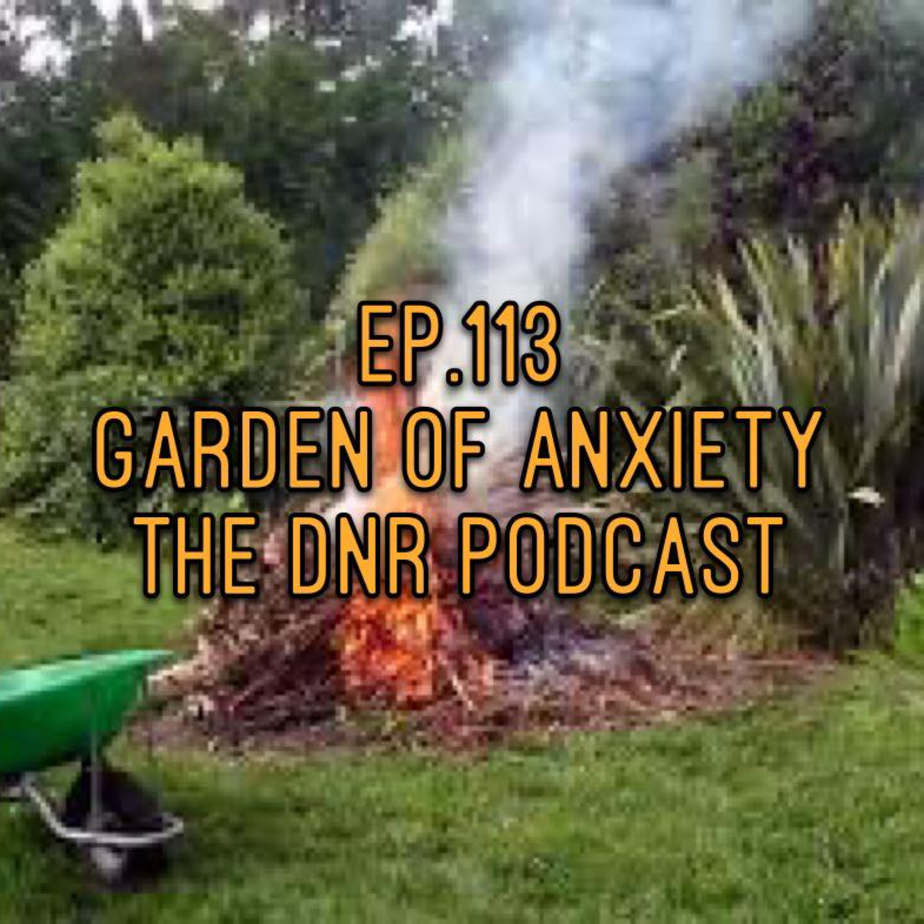 the DNR Podcast