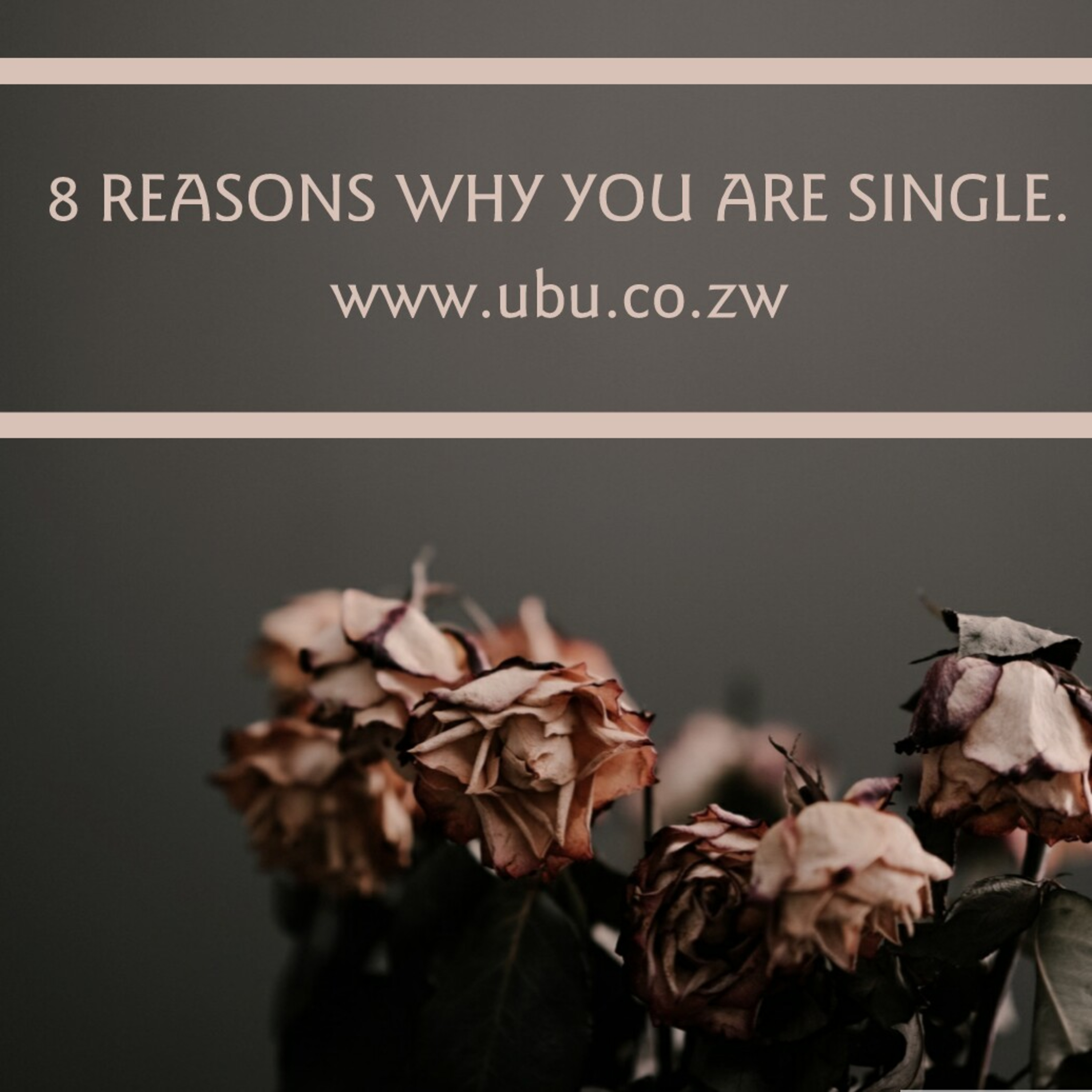 8 REASONS WHY YOU ARE SINGLE