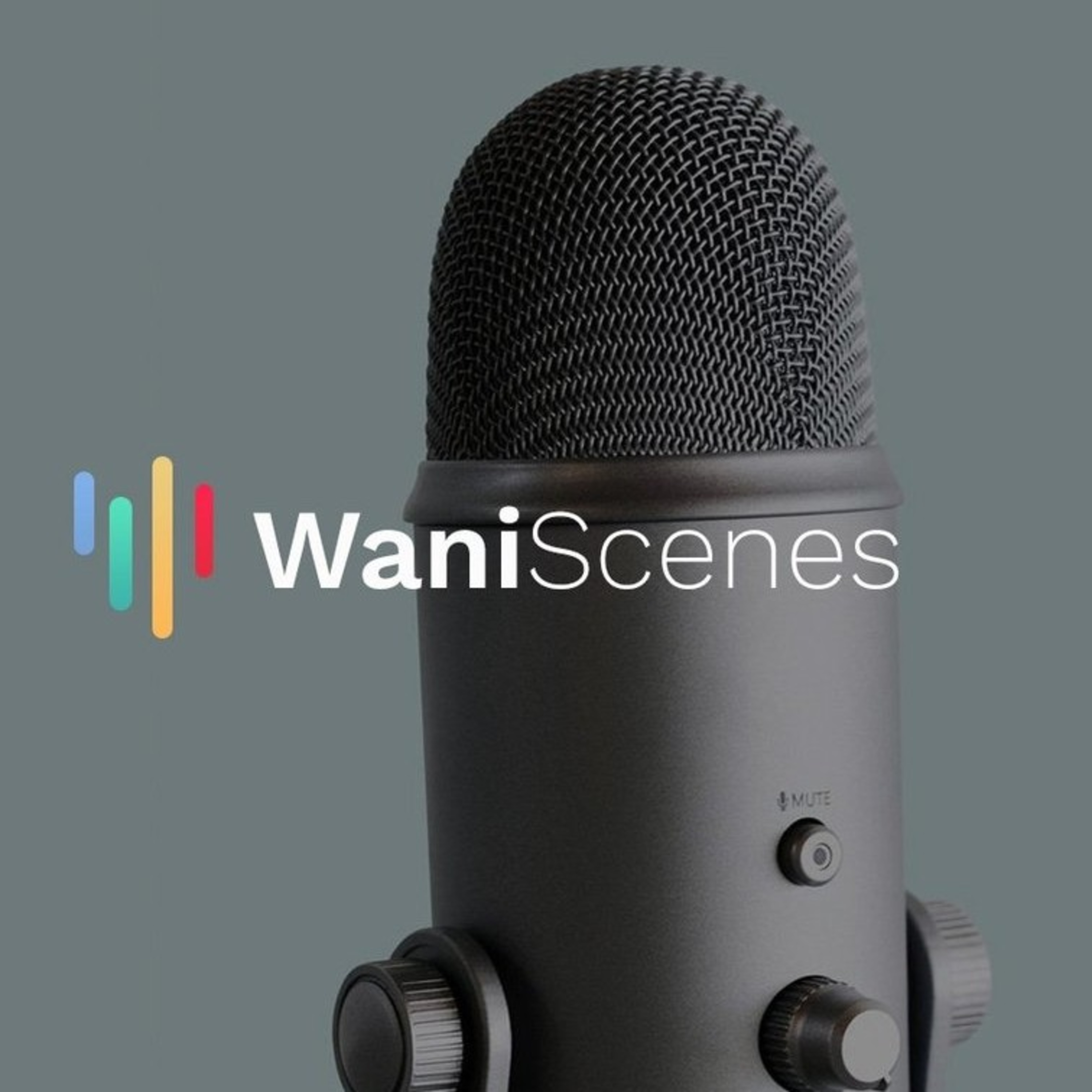 WaniScenes