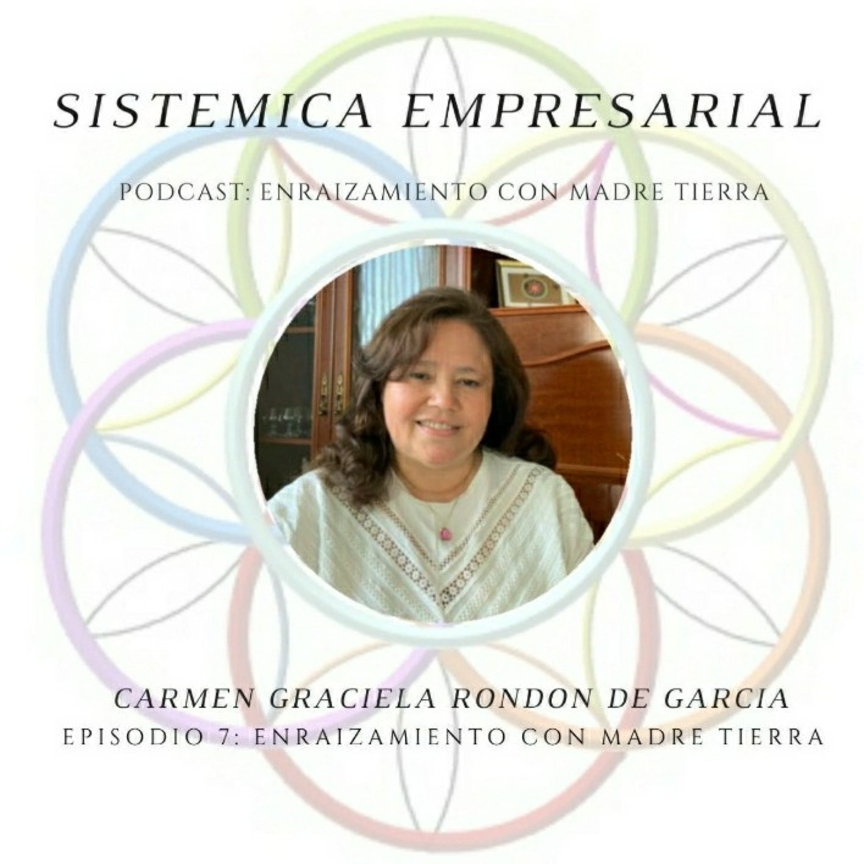 Sistemica Empresarial