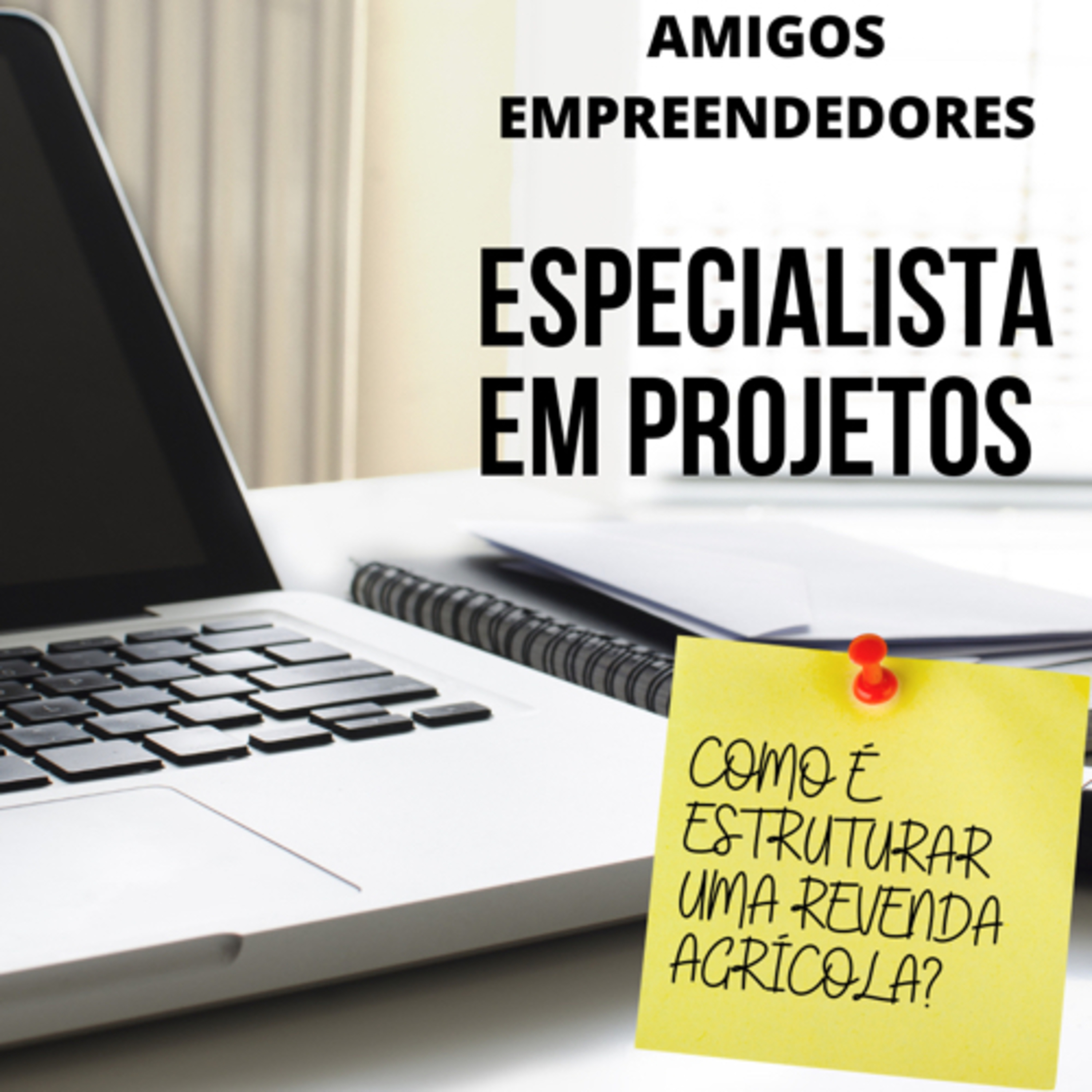 Amigos Empreendedores