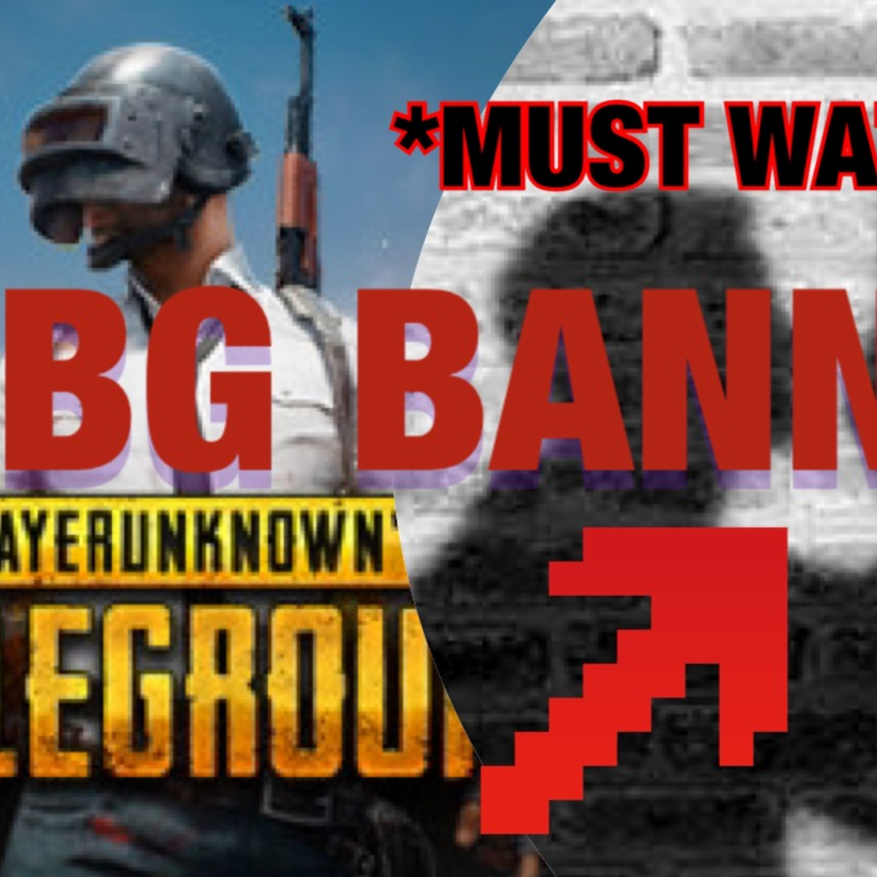 PUBG BANNED