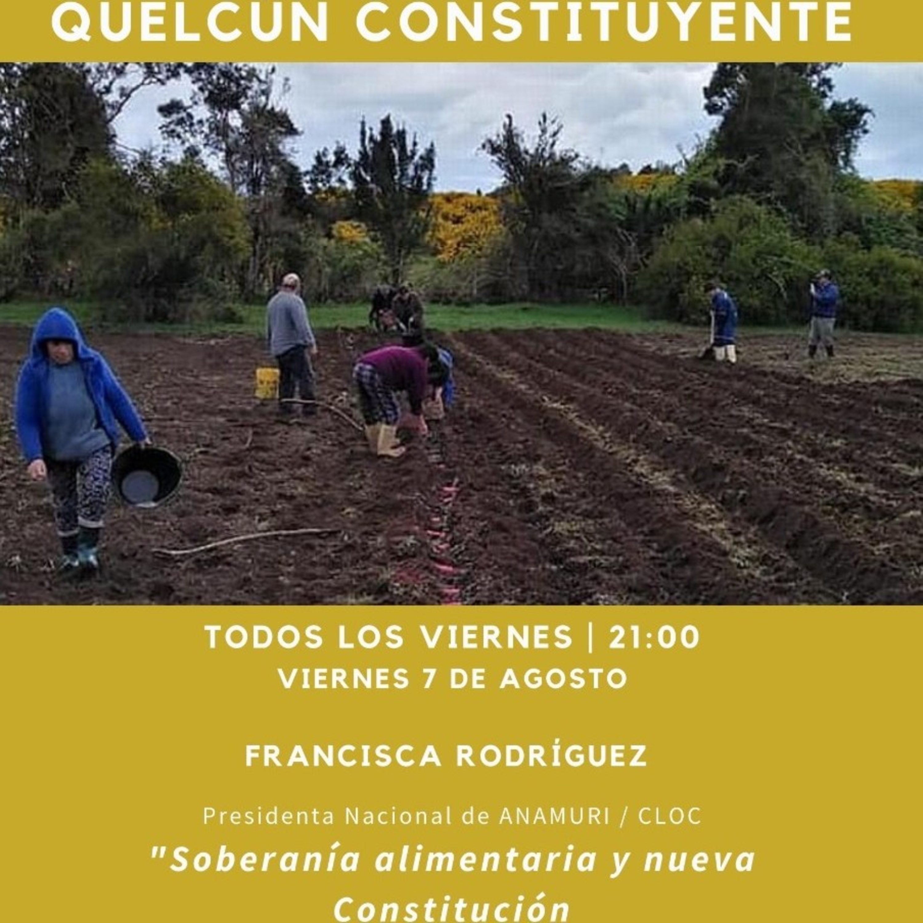 Quelcún Constituyente
