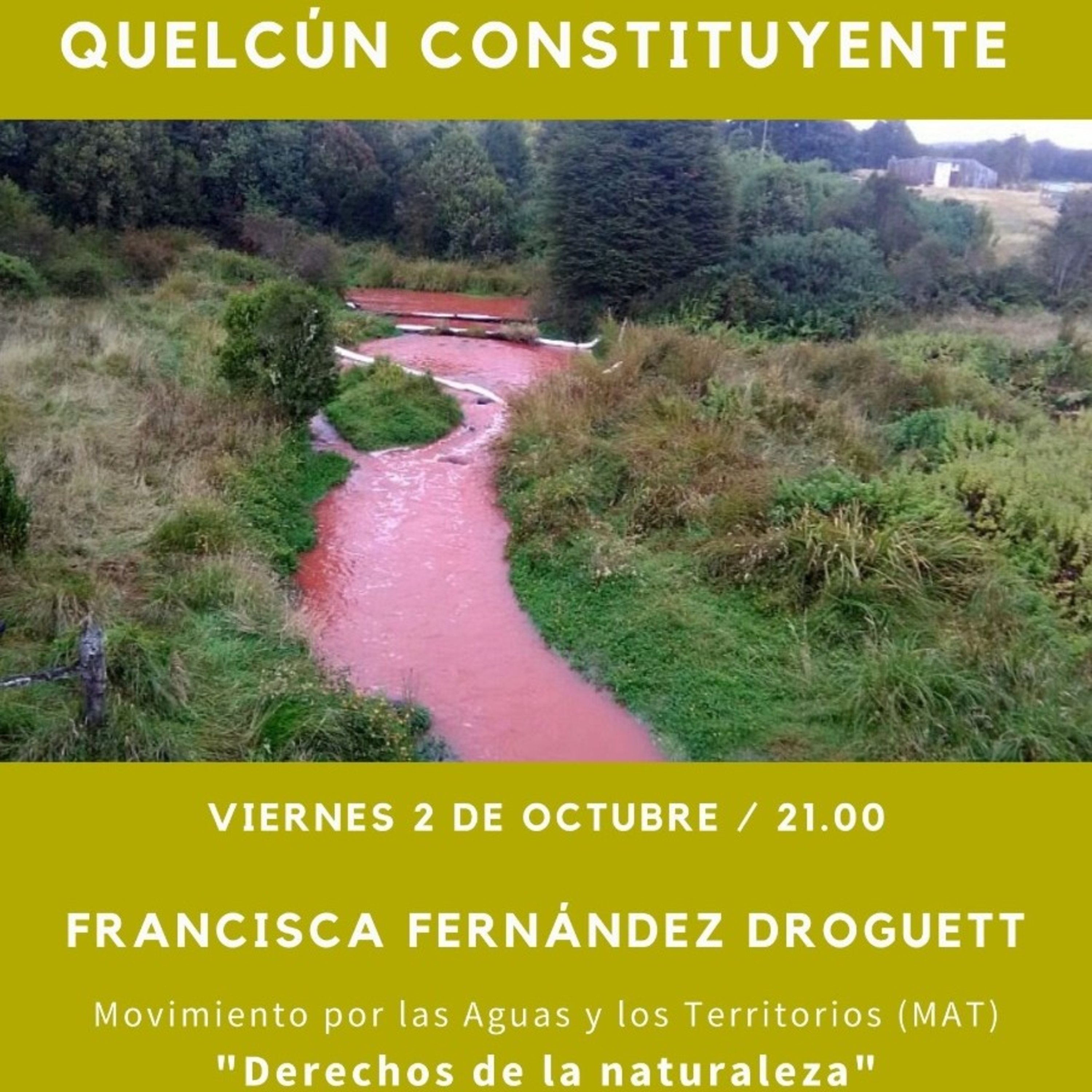 Quelcún Constituyente