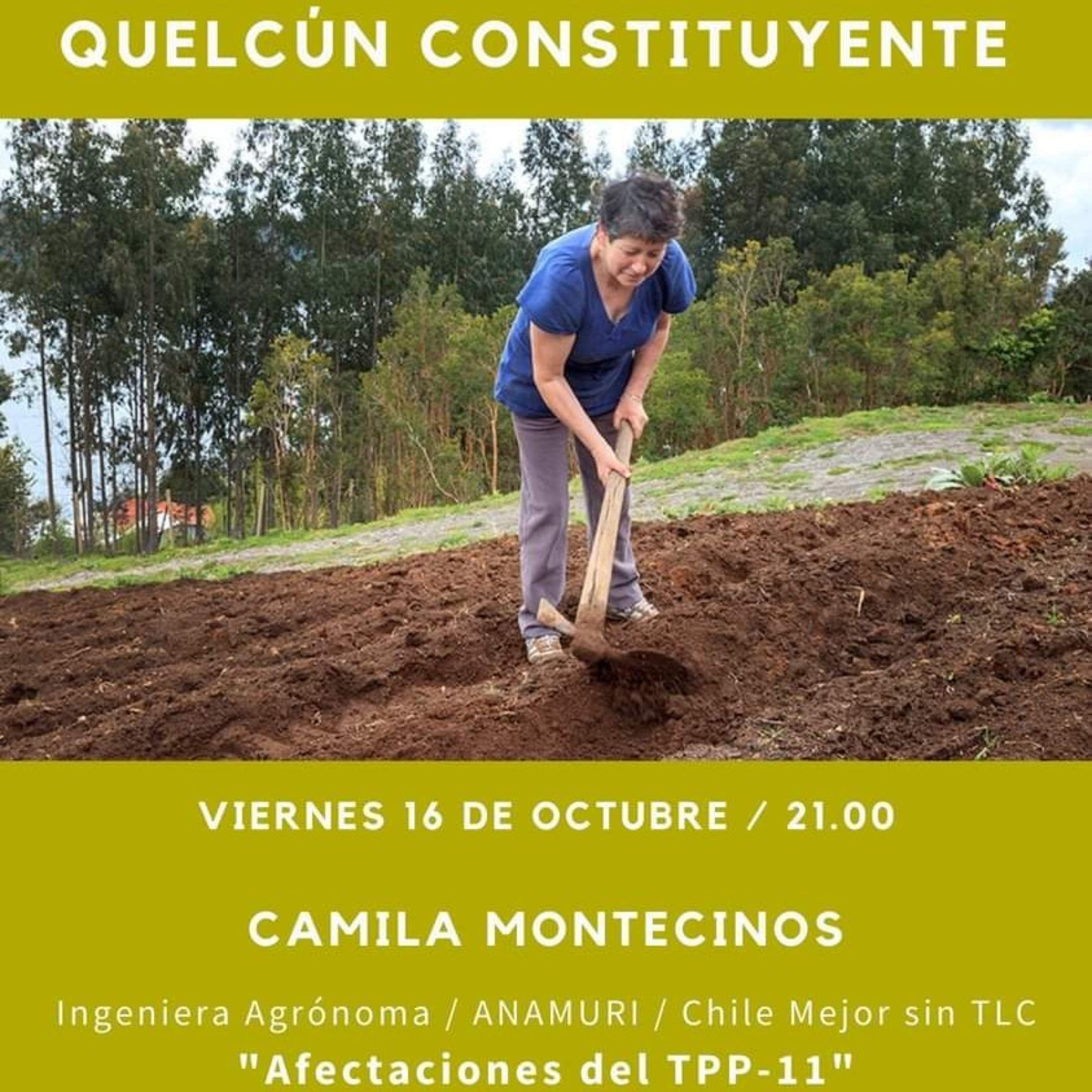 Quelcún Constituyente