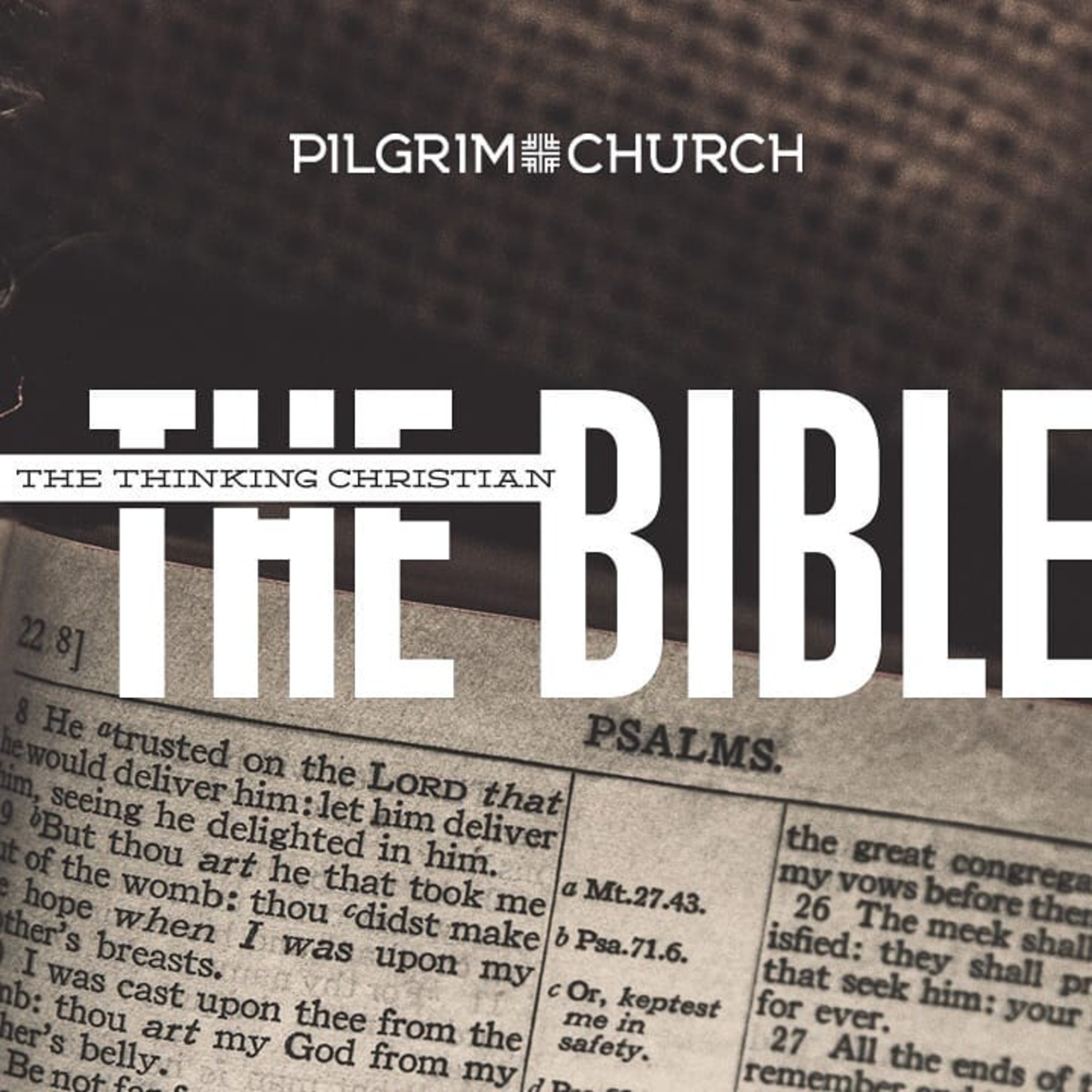 The Thinking Christian - THE BIBLE - Writing & Psalms episode artwork