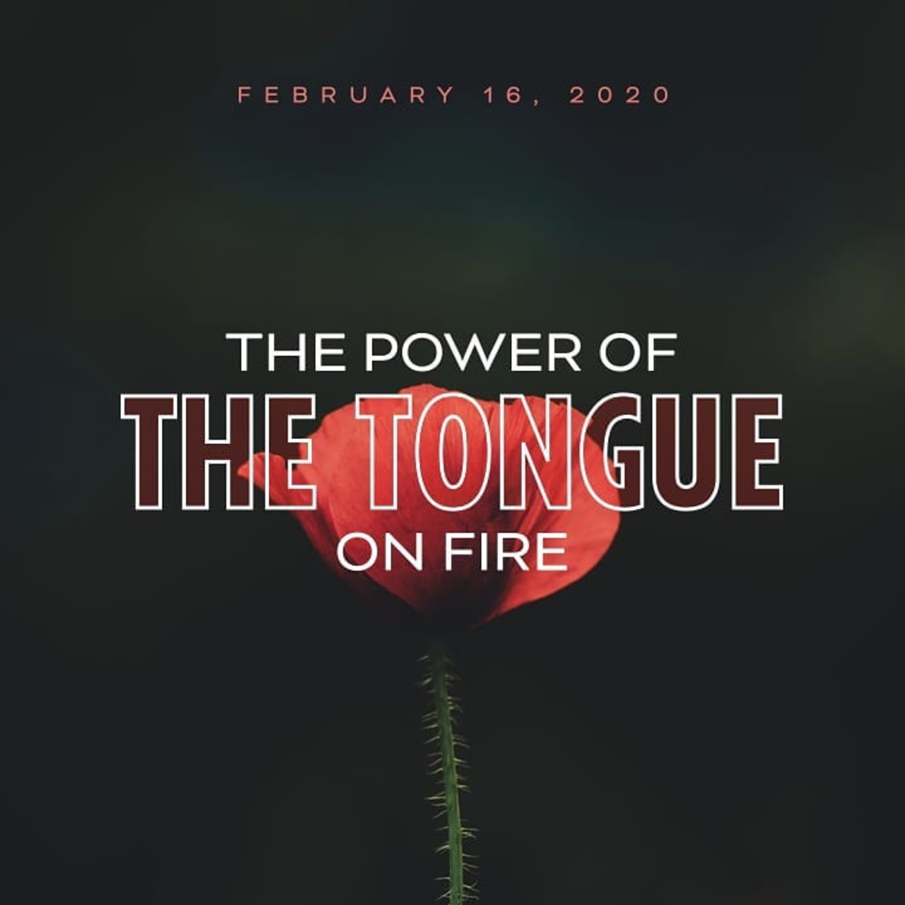 The Power of the Tongue ON FIRE - The Heart and Truth-Telling episode artwork