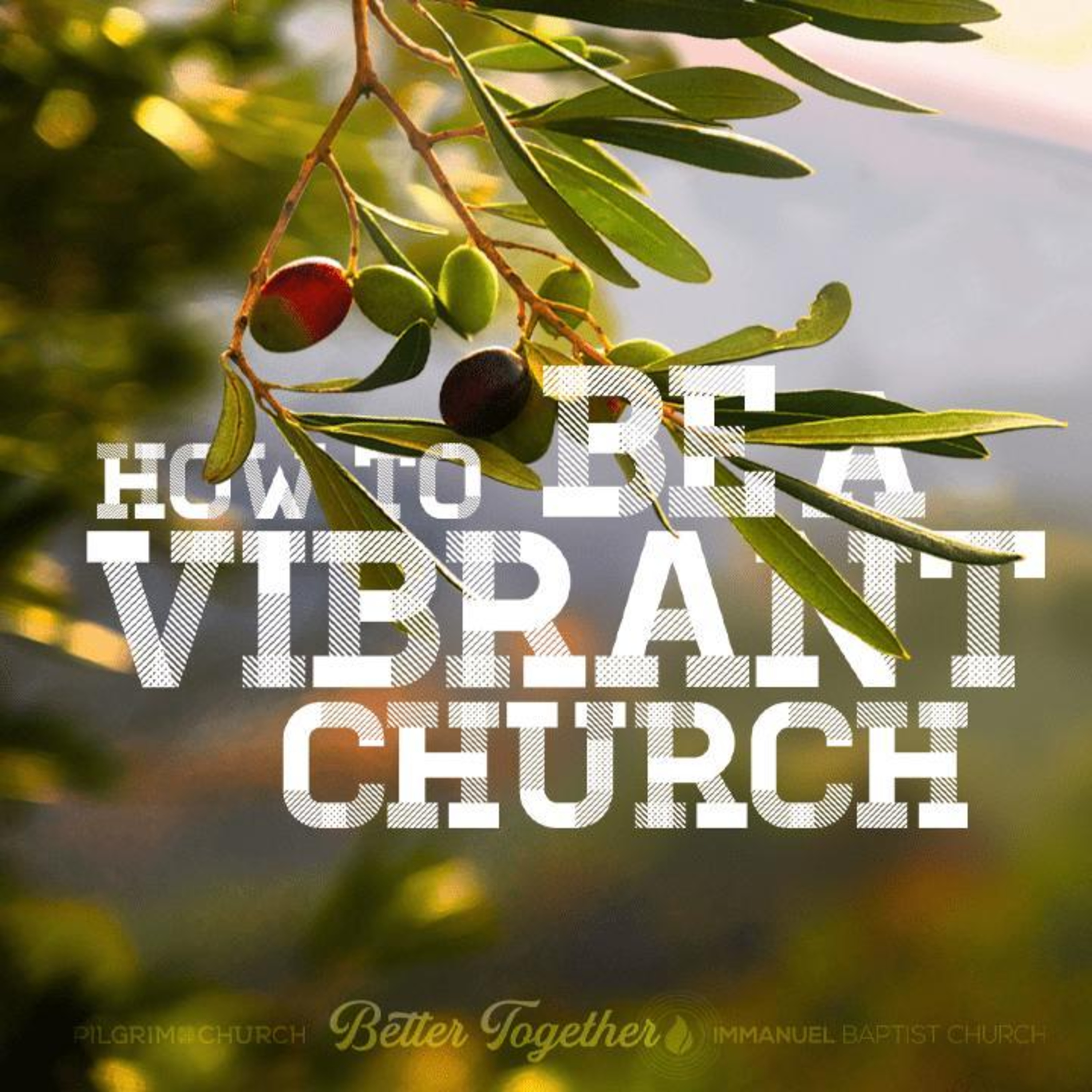 How to Be a Vibrant Church