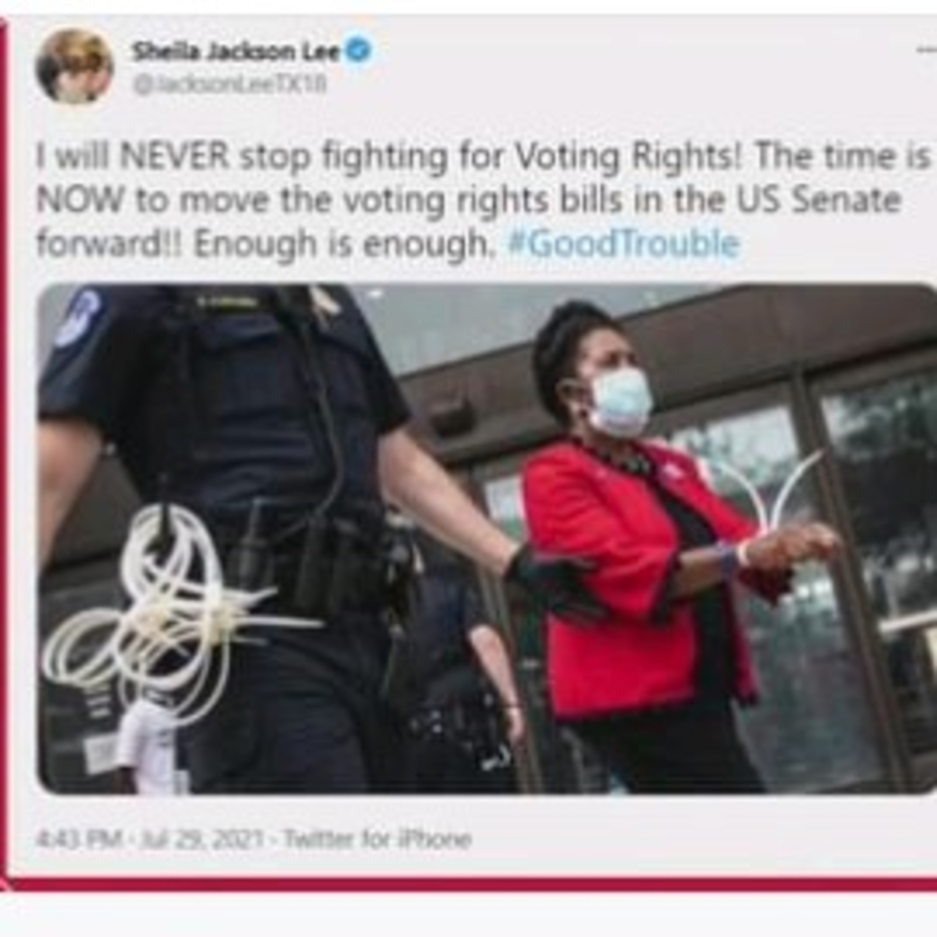 Congresswoman Shelia Jackson Lee arrested for her trip to Washington DC episode artwork