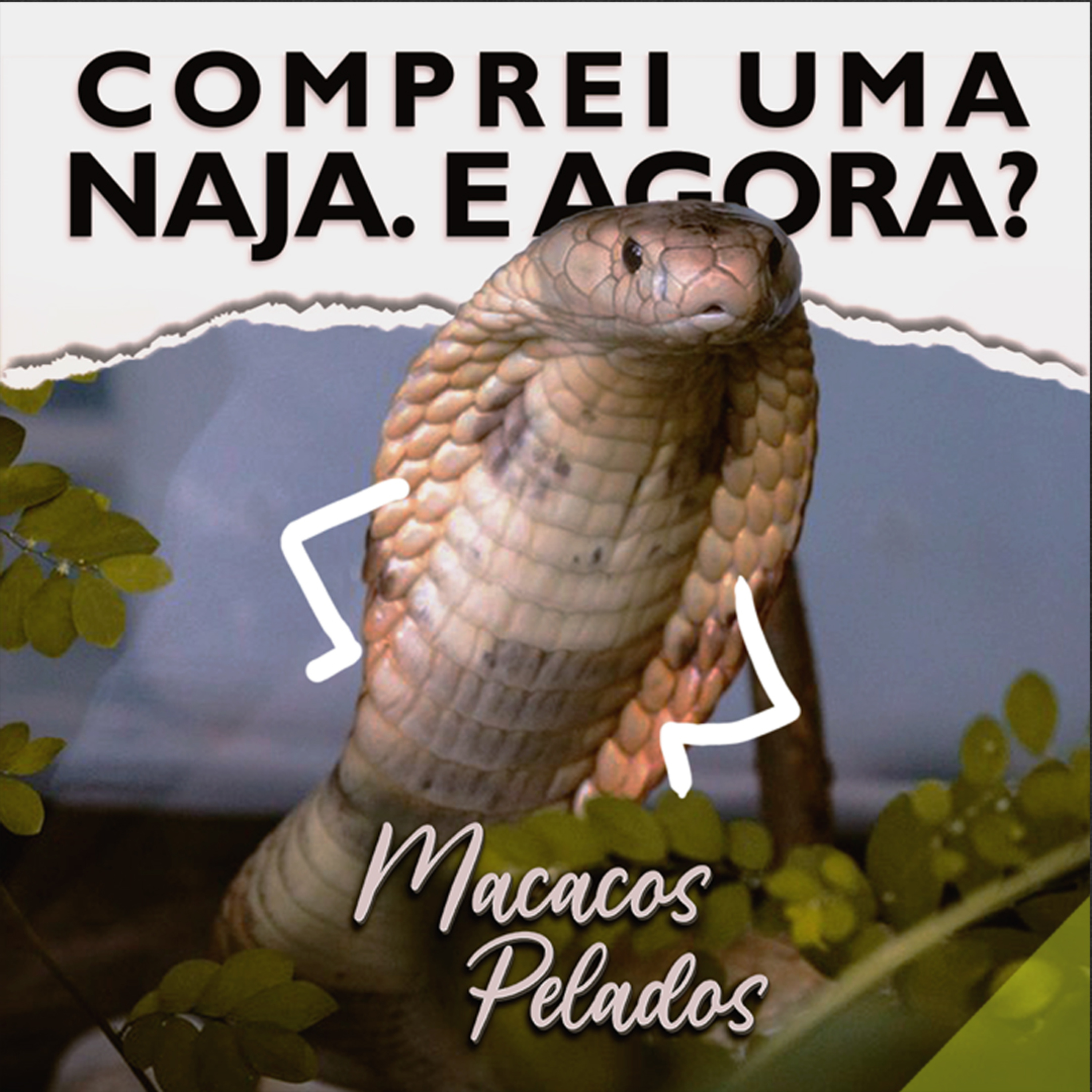 Macacos Pelados