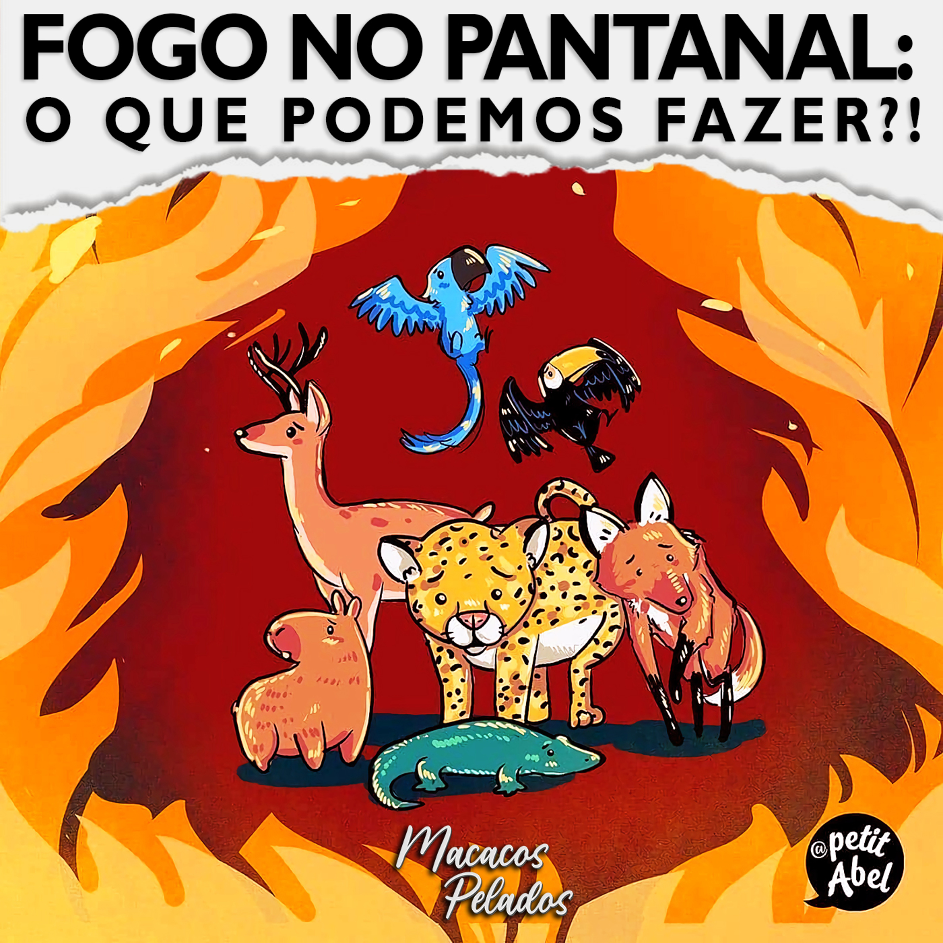 Macacos Pelados
