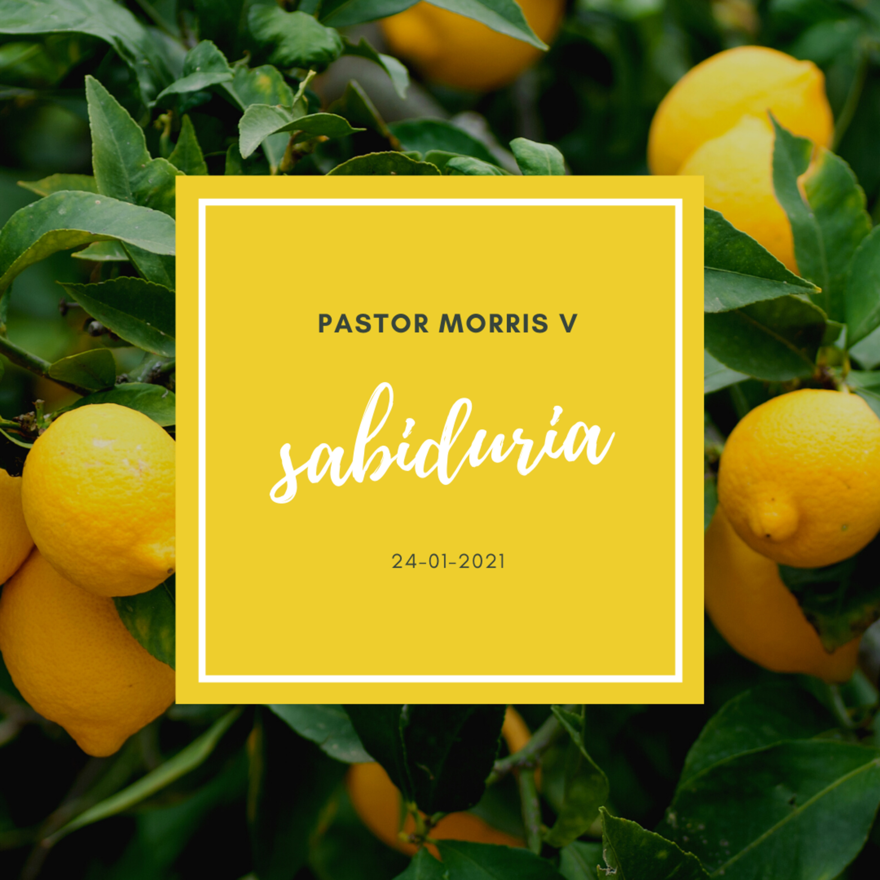 La sabiduria Domingo 24-01-2021 episode artwork