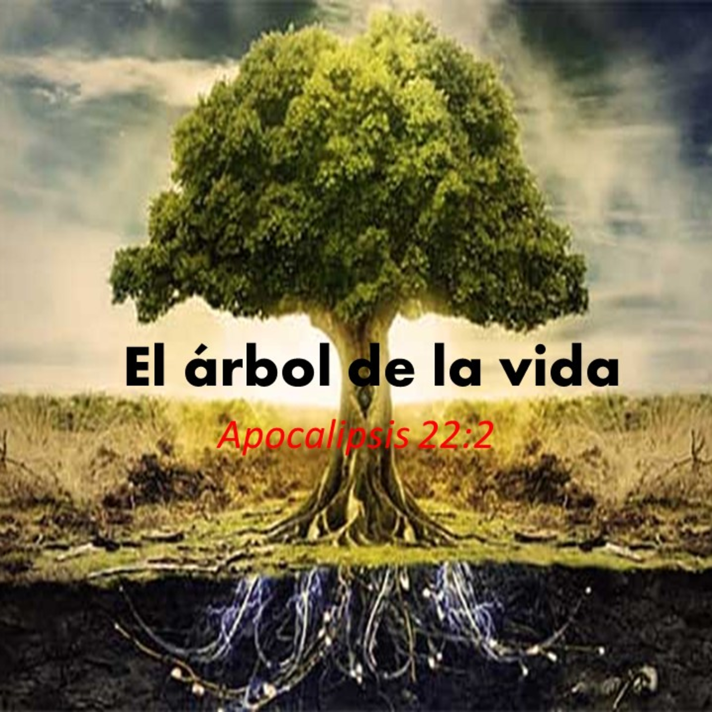 El Arbol de la vida-Estudio biblico apocalipsis 22 episode artwork