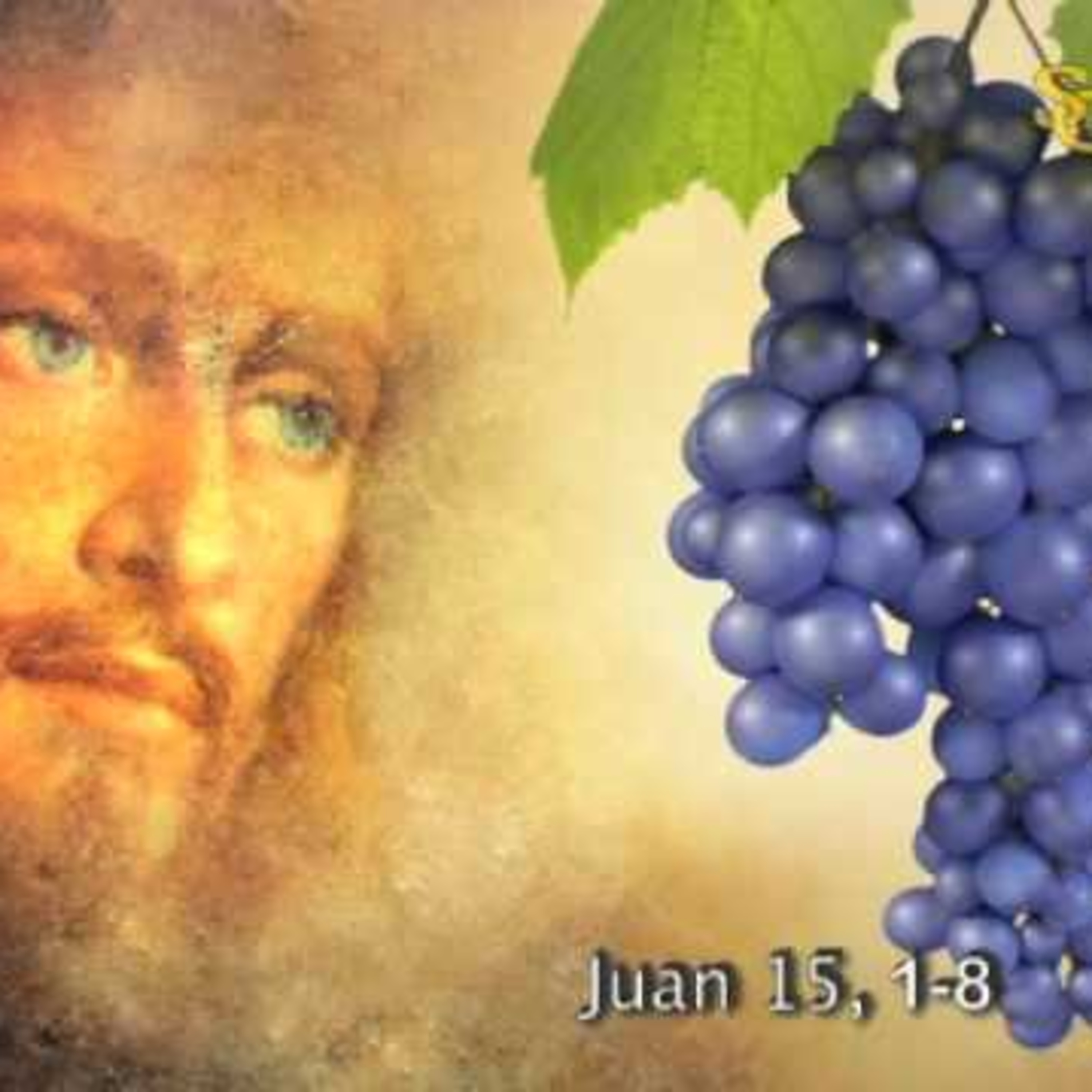 Leccion No1 una vida de frutos para Dios -serie la fidelidad a Dios  episode artwork