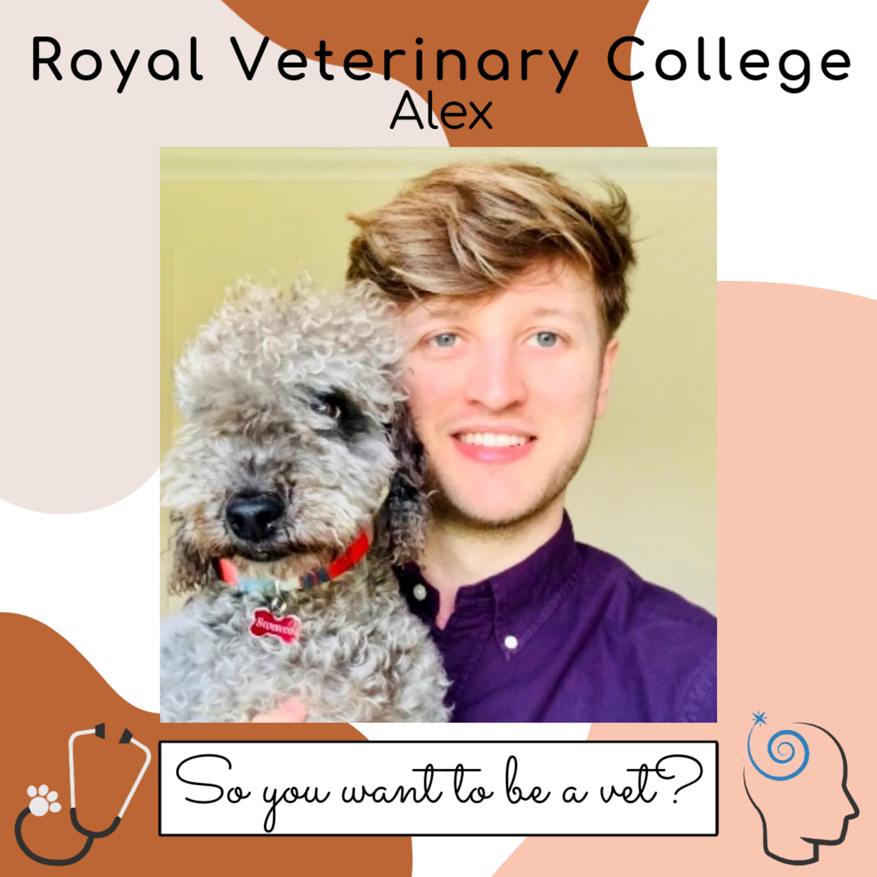 So You Want To Be a Vet?