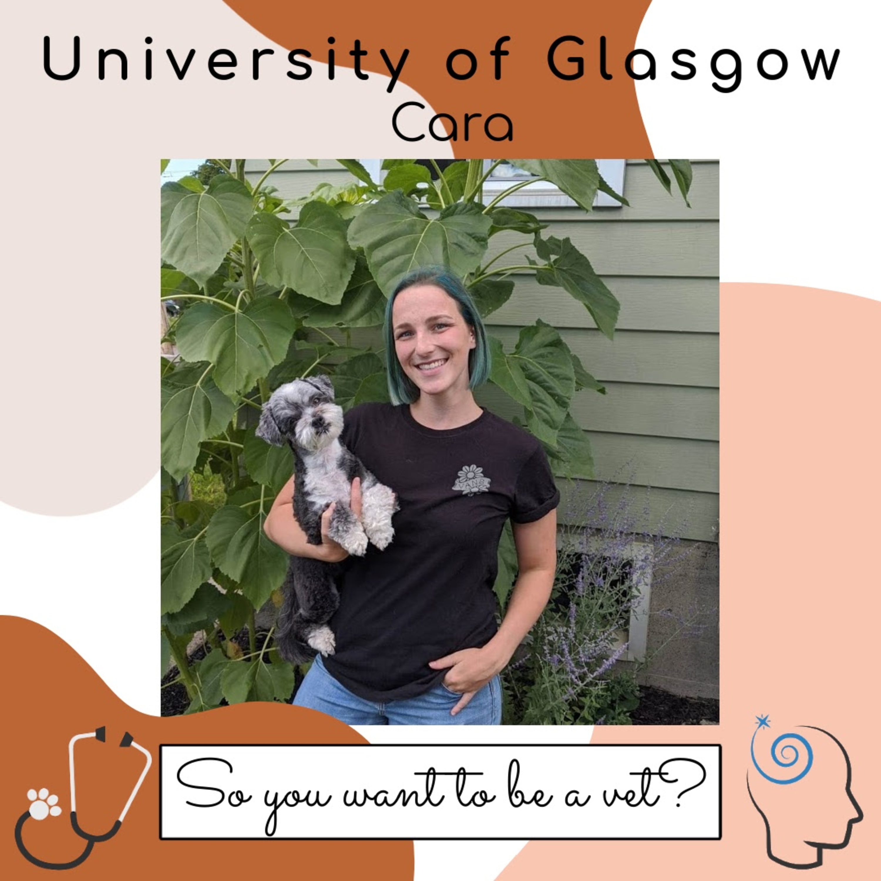 So You Want To Be a Vet?