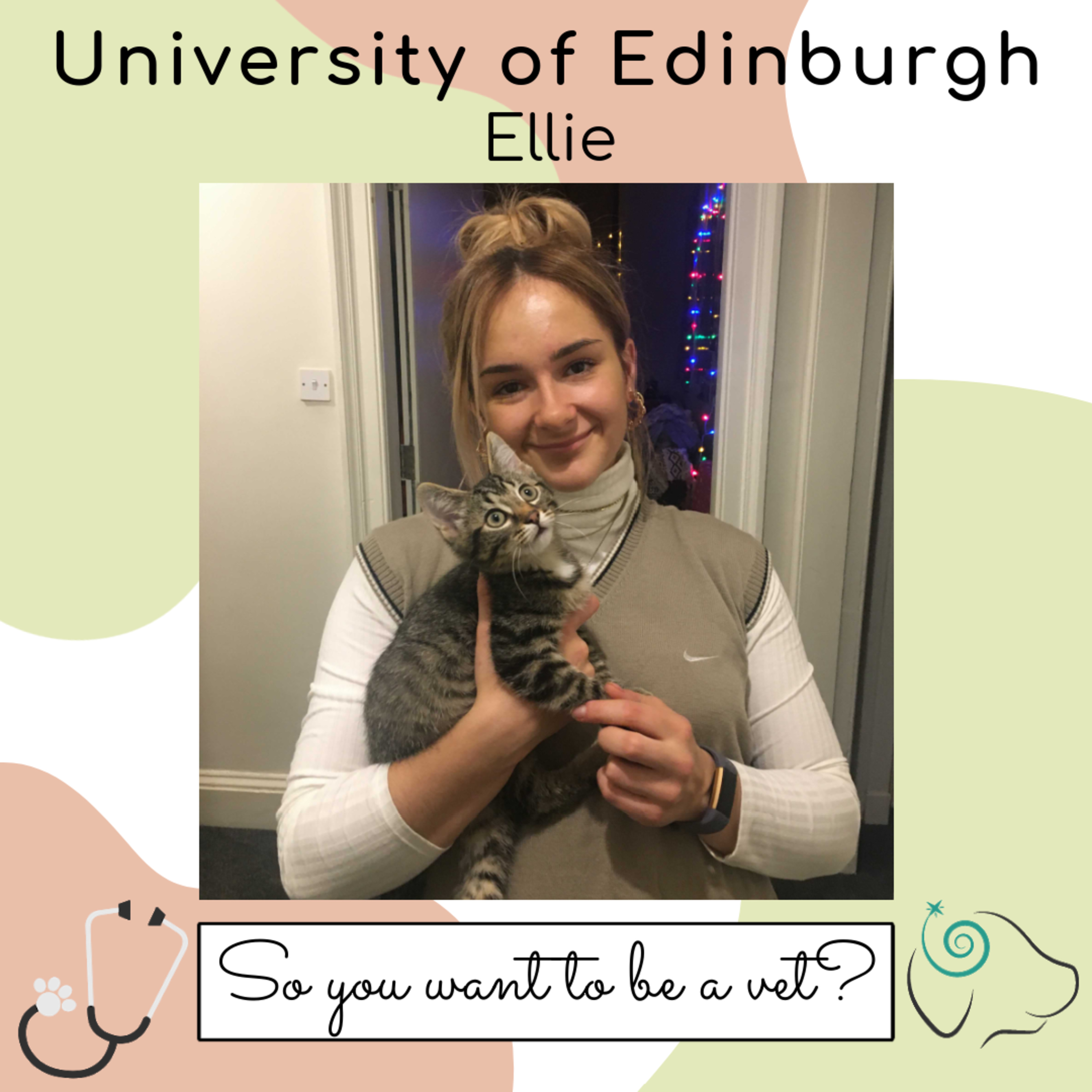 So You Want To Be a Vet?