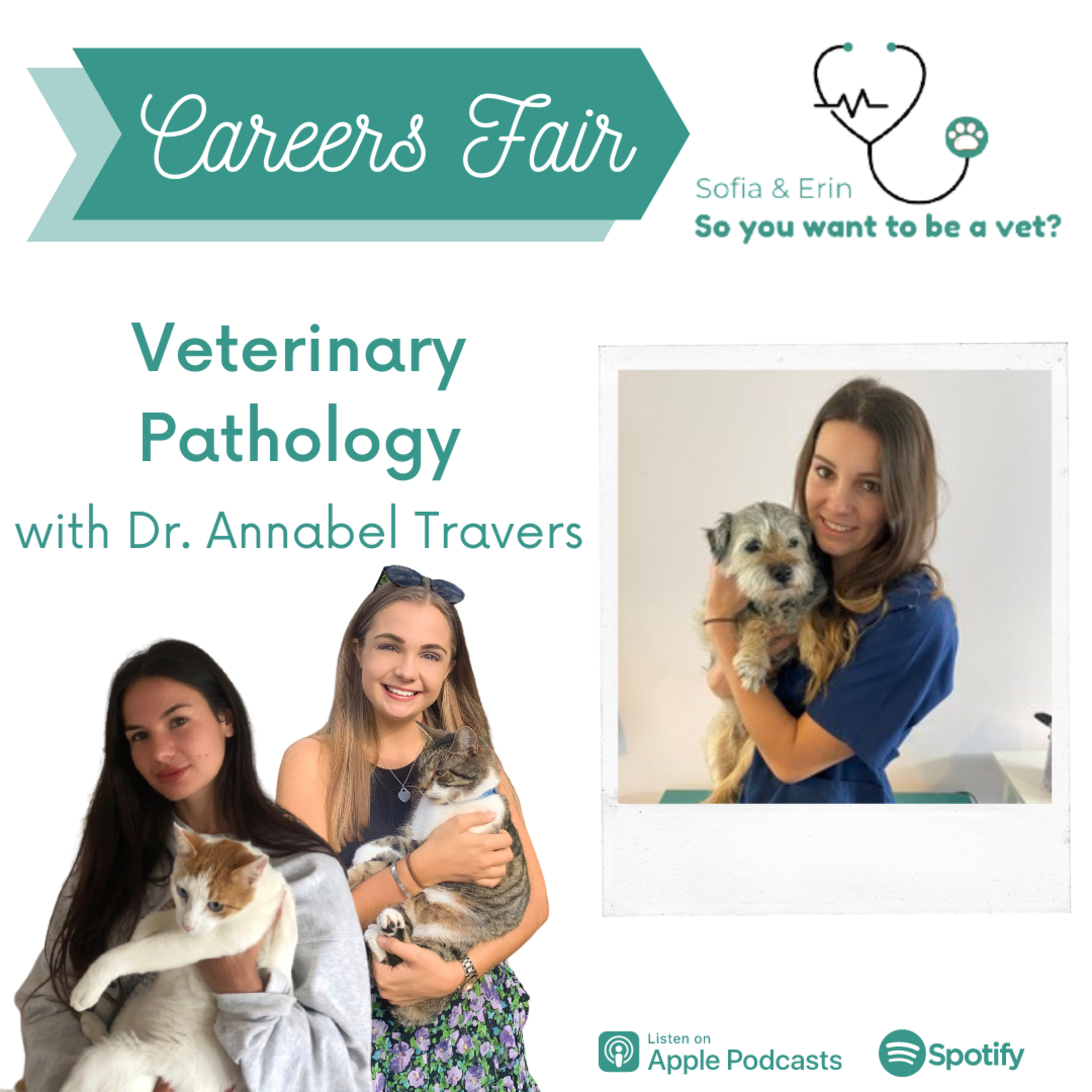 So You Want To Be a Vet?
