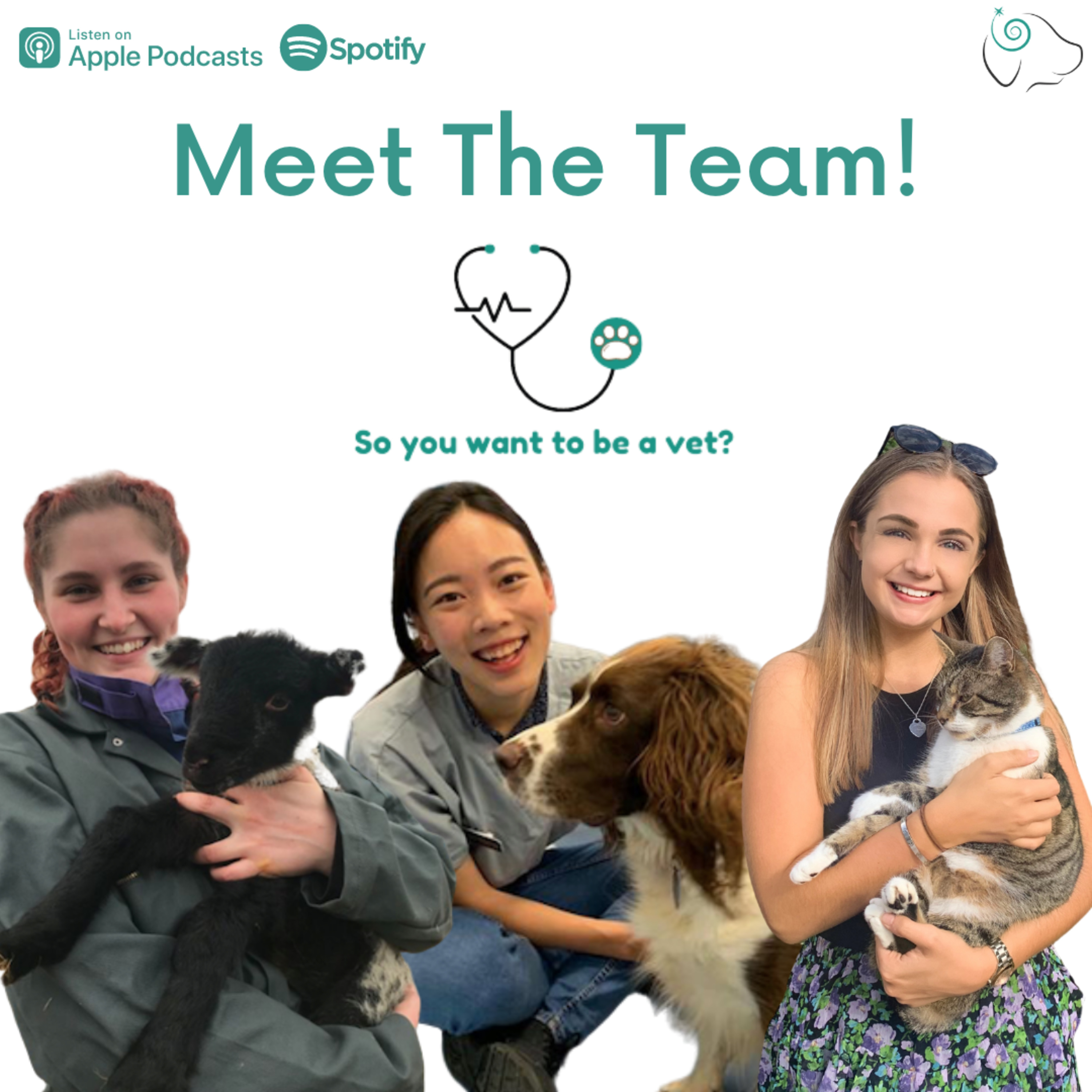 So You Want To Be a Vet?