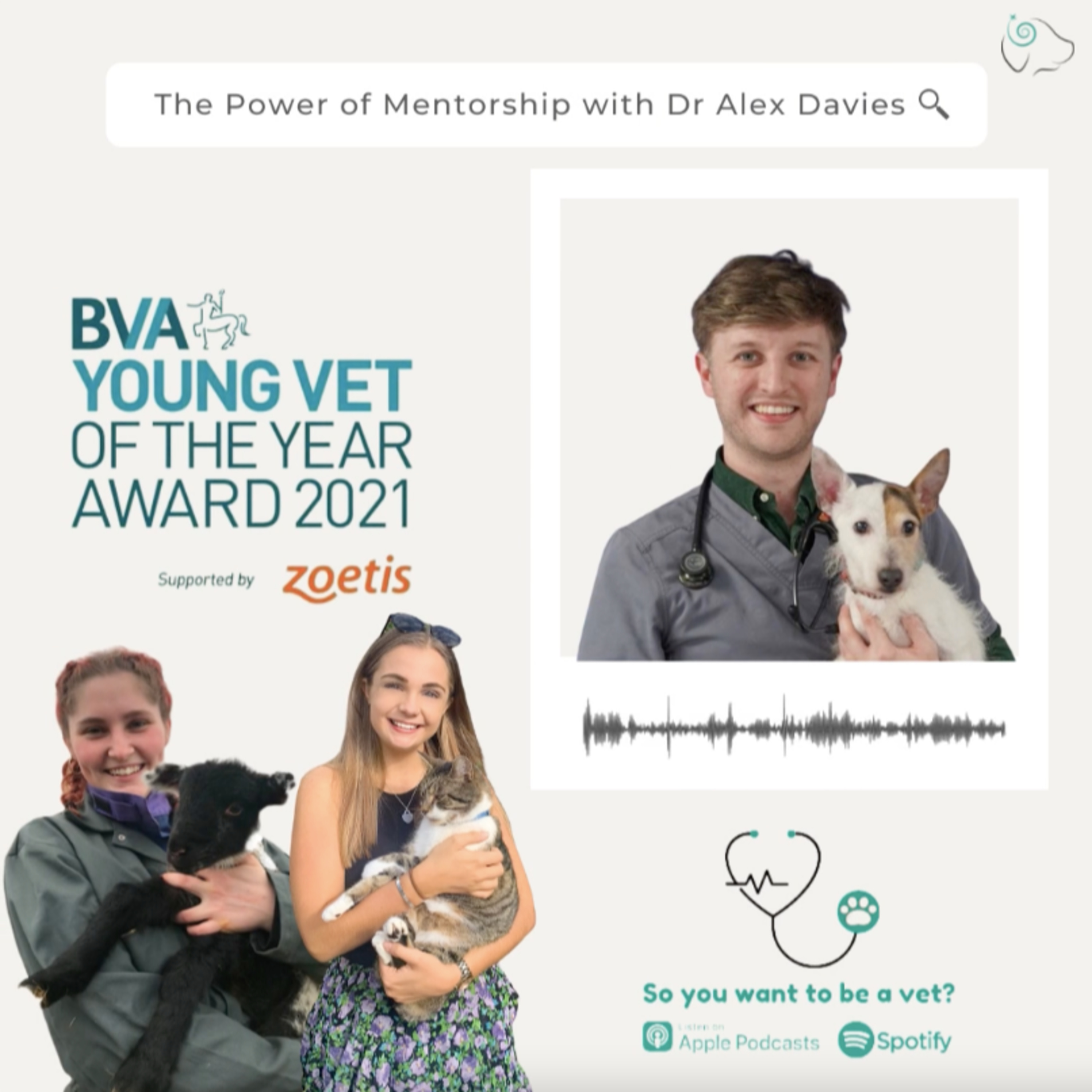 So You Want To Be a Vet?