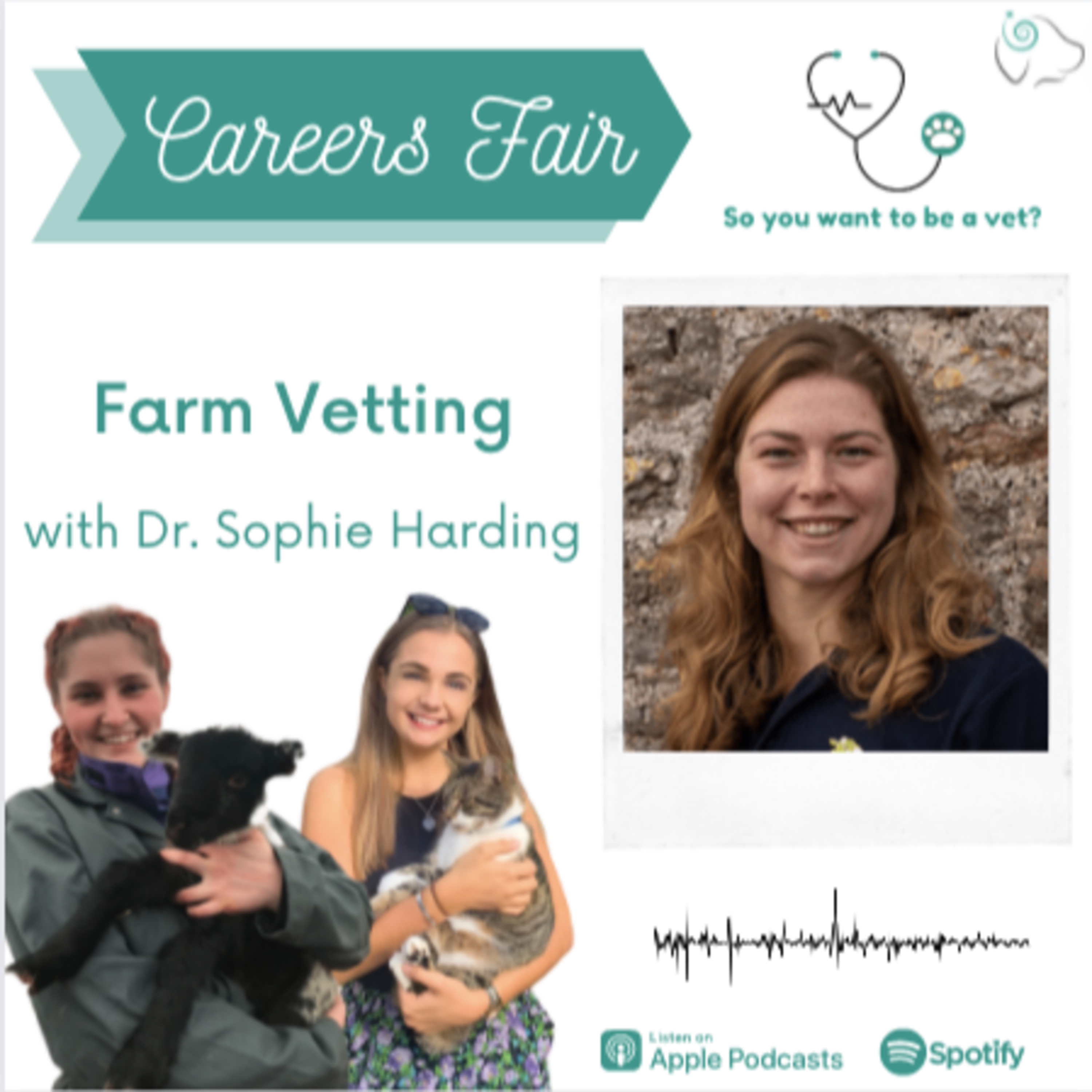 So You Want To Be a Vet?