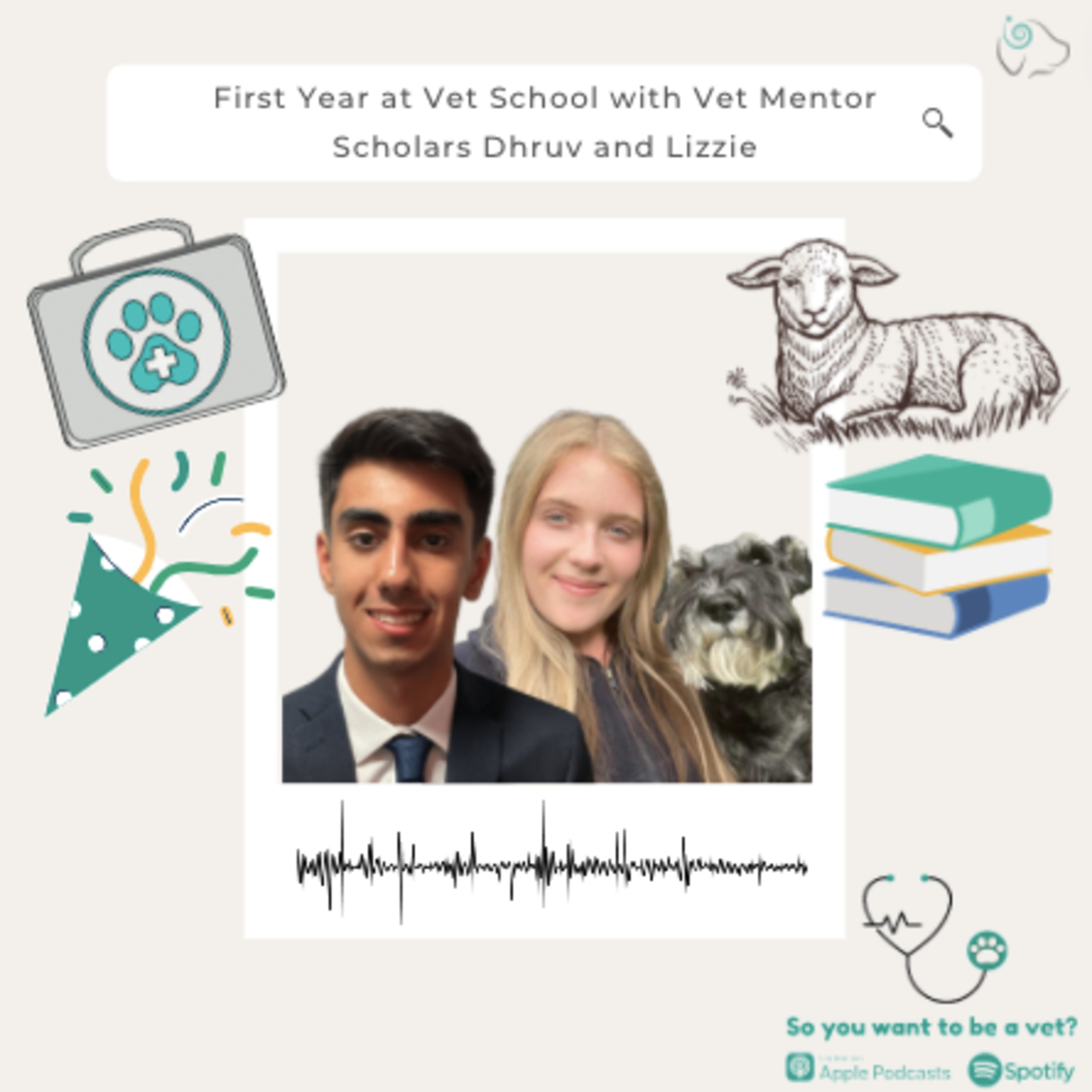 So You Want To Be a Vet?