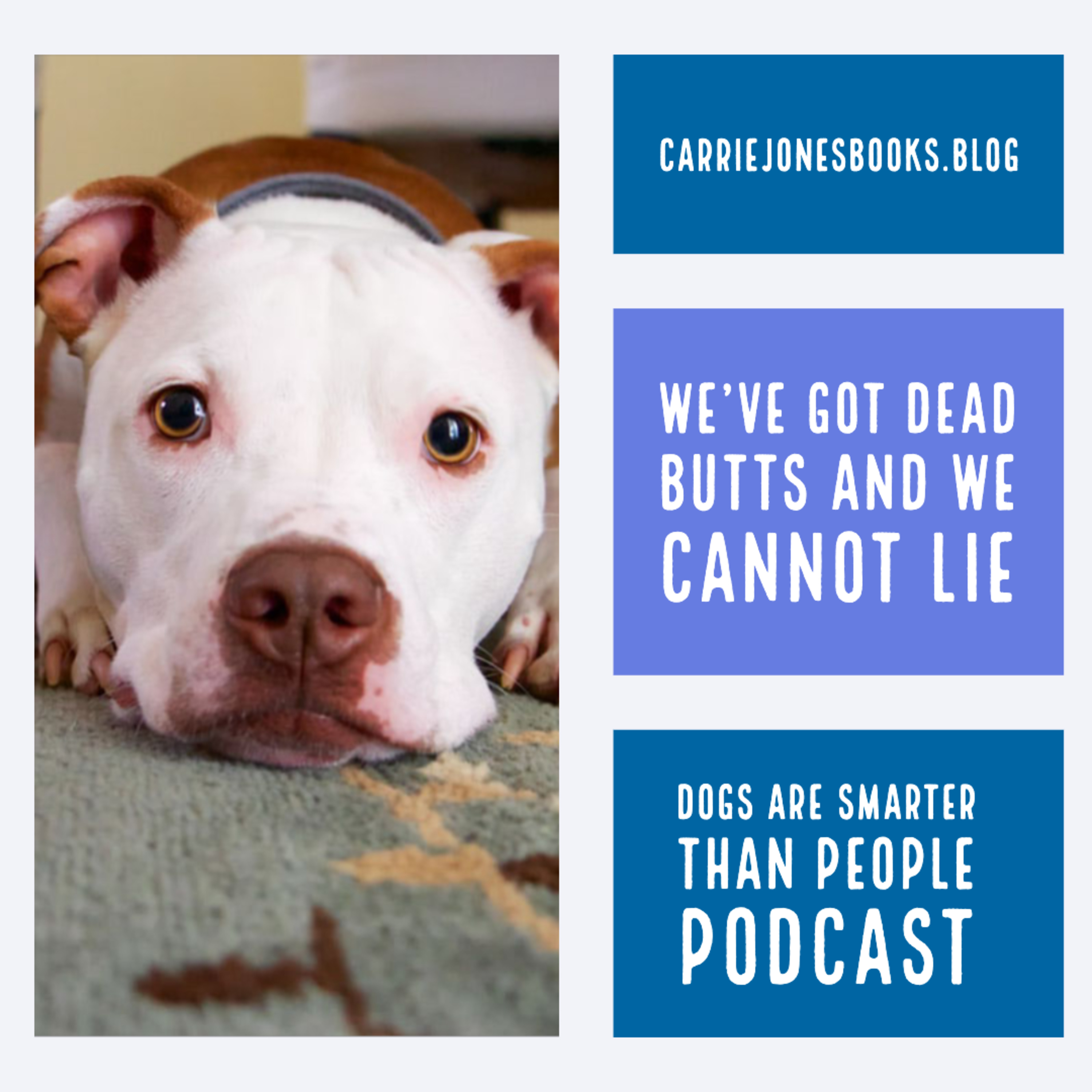 Dogs Are Smarter Than People via Anchor