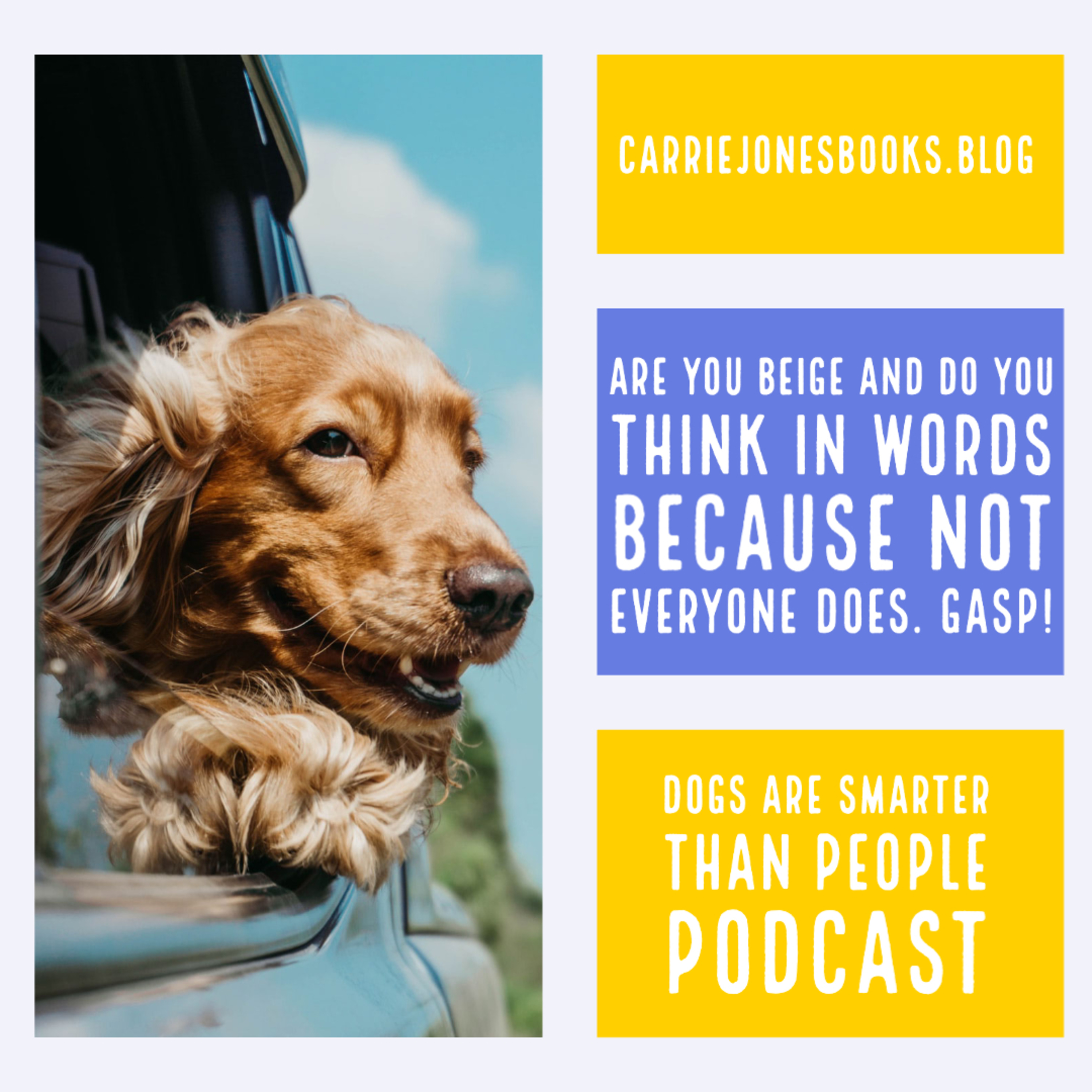 Dogs Are Smarter Than People via Anchor