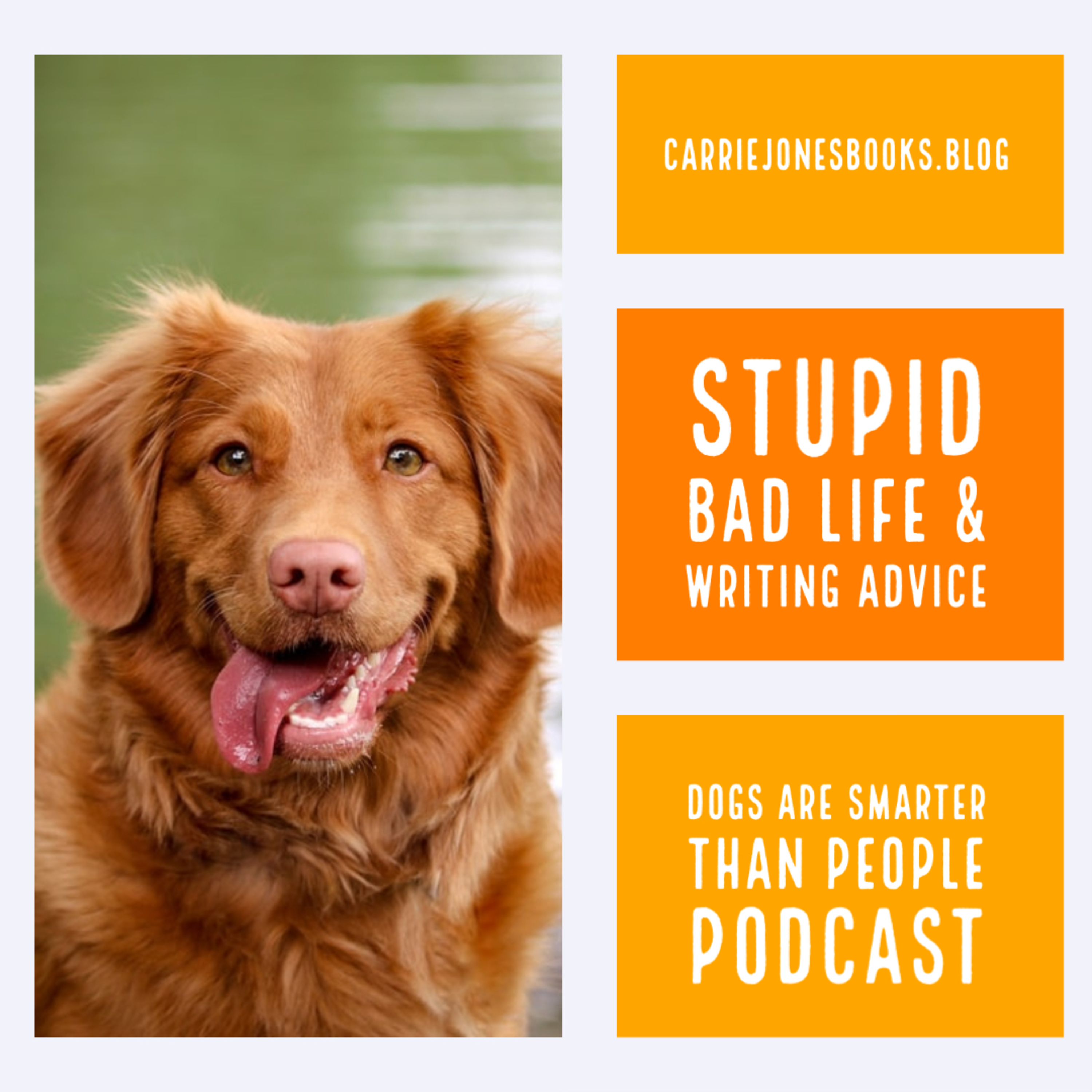 Werewolves on Bikes and Stupid Bad Writing and Life Advice