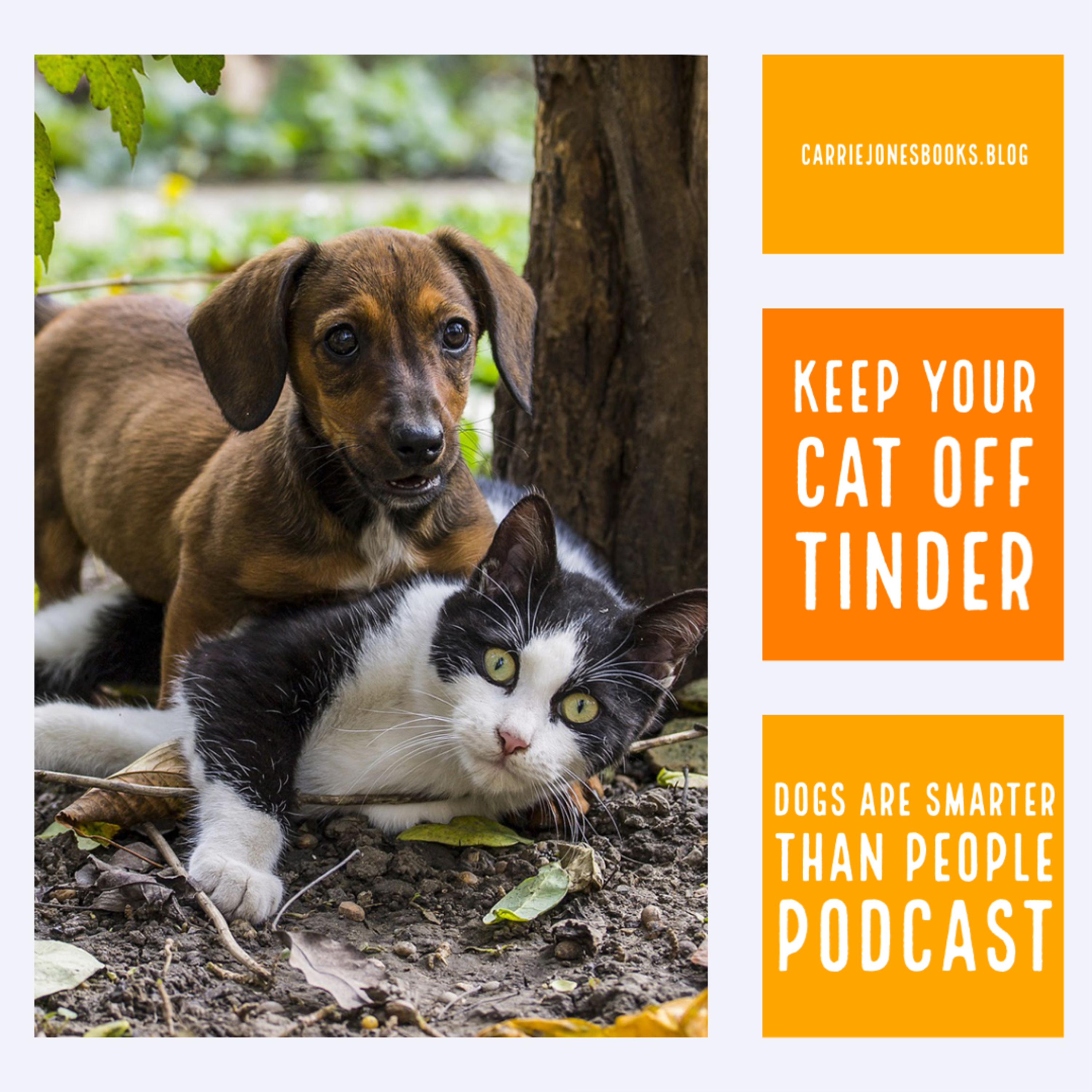 Keep Your Cat Out Of Tinder and Other Sucky Advice