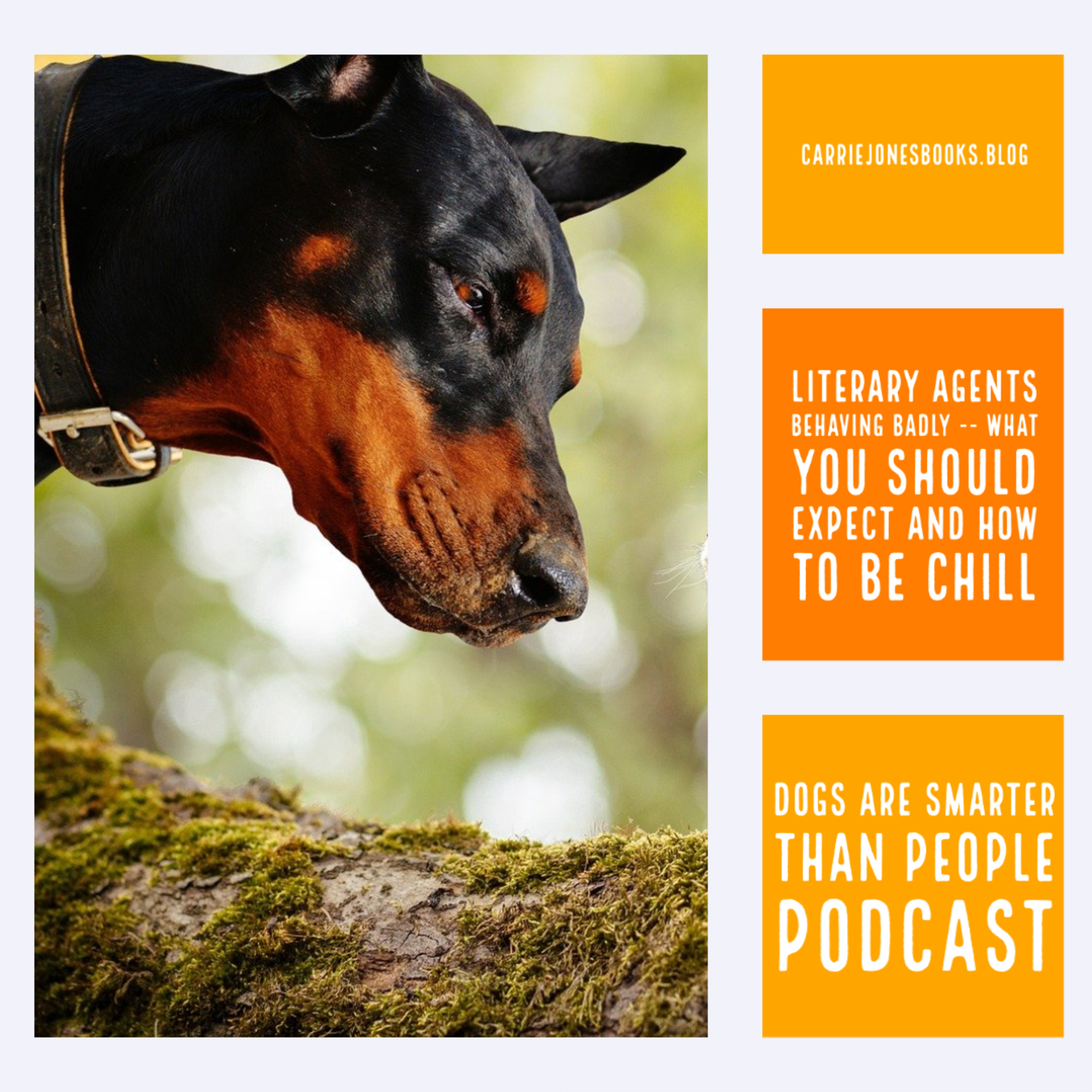 Literary Agents Behaving Badly