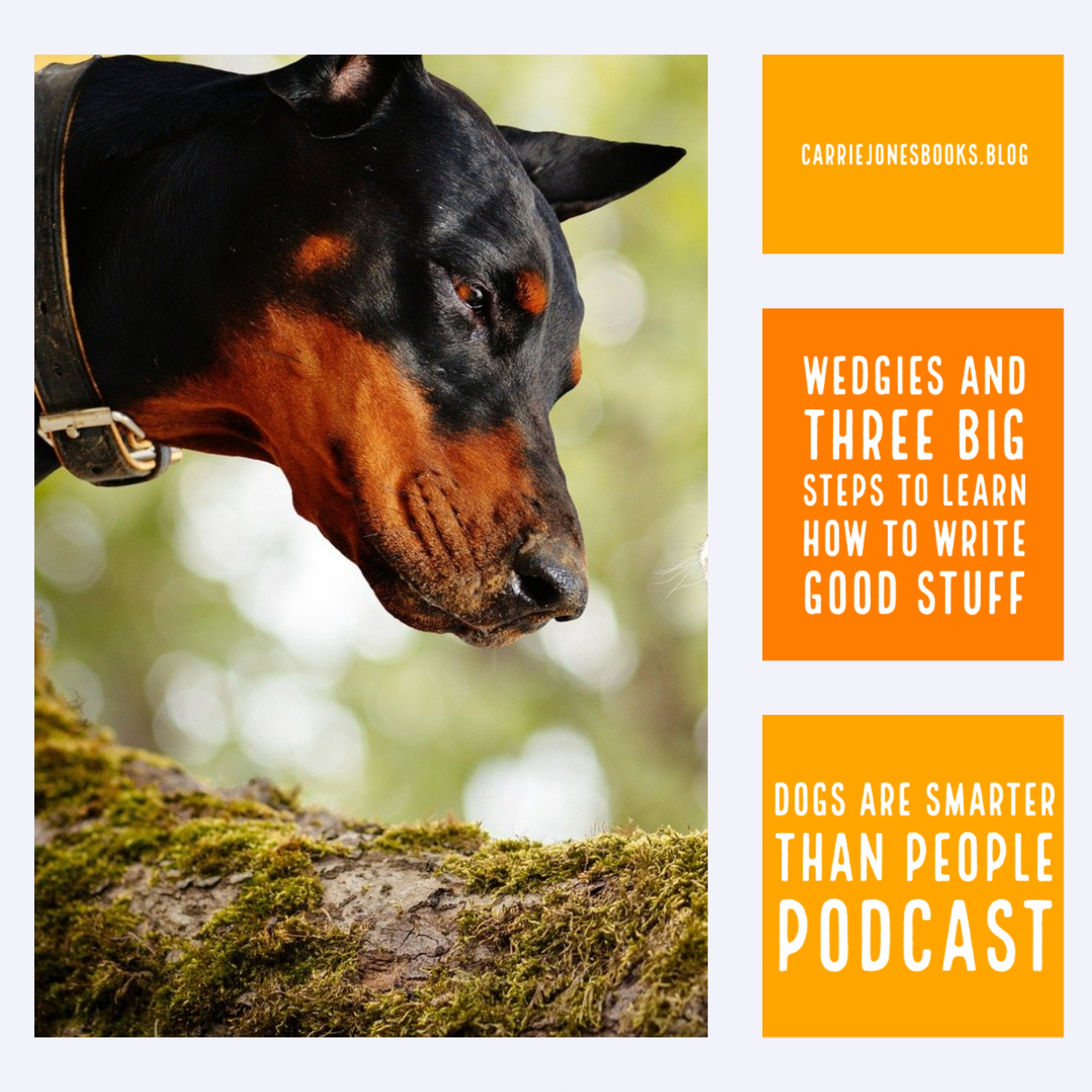 WEDGIES AND THREE BIG STEPS TO LEARN HOW TO WRITE GOOD STUFF
