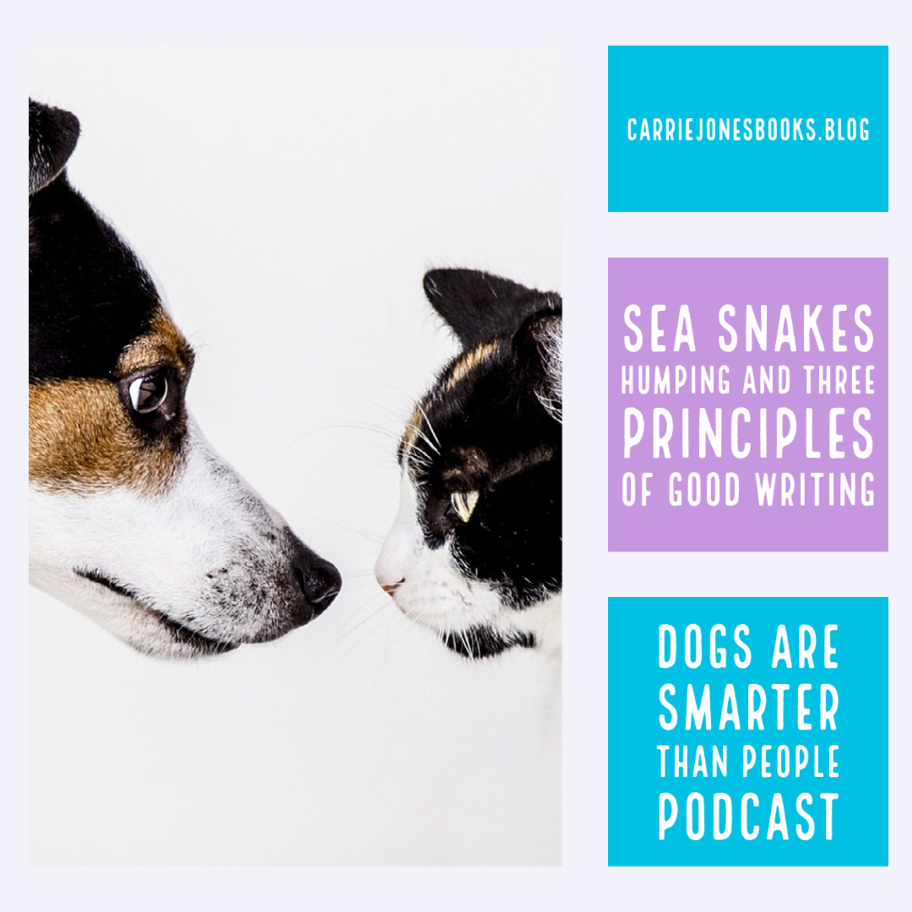 Dogs Are Smarter Than People via Anchor