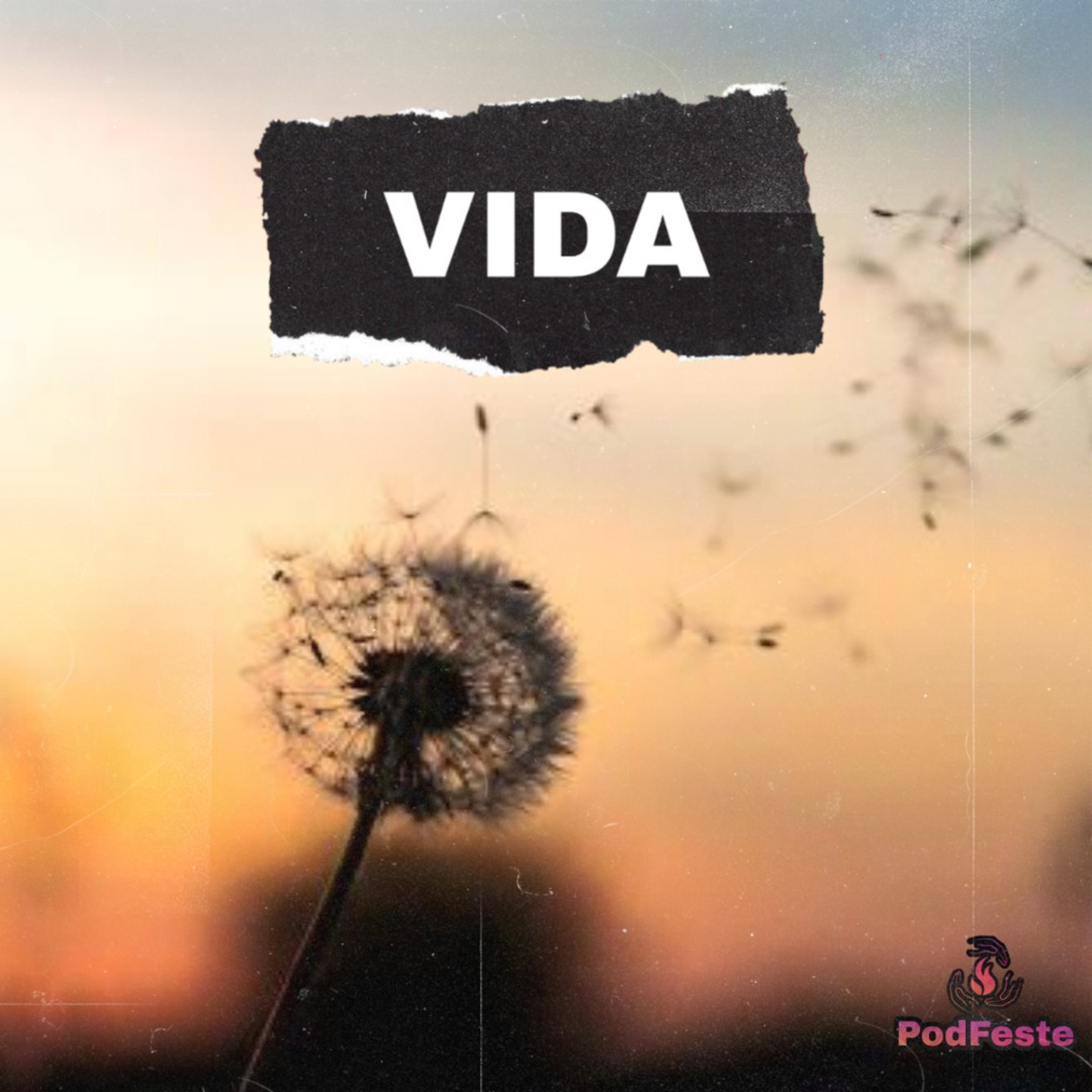 Vida episode artwork