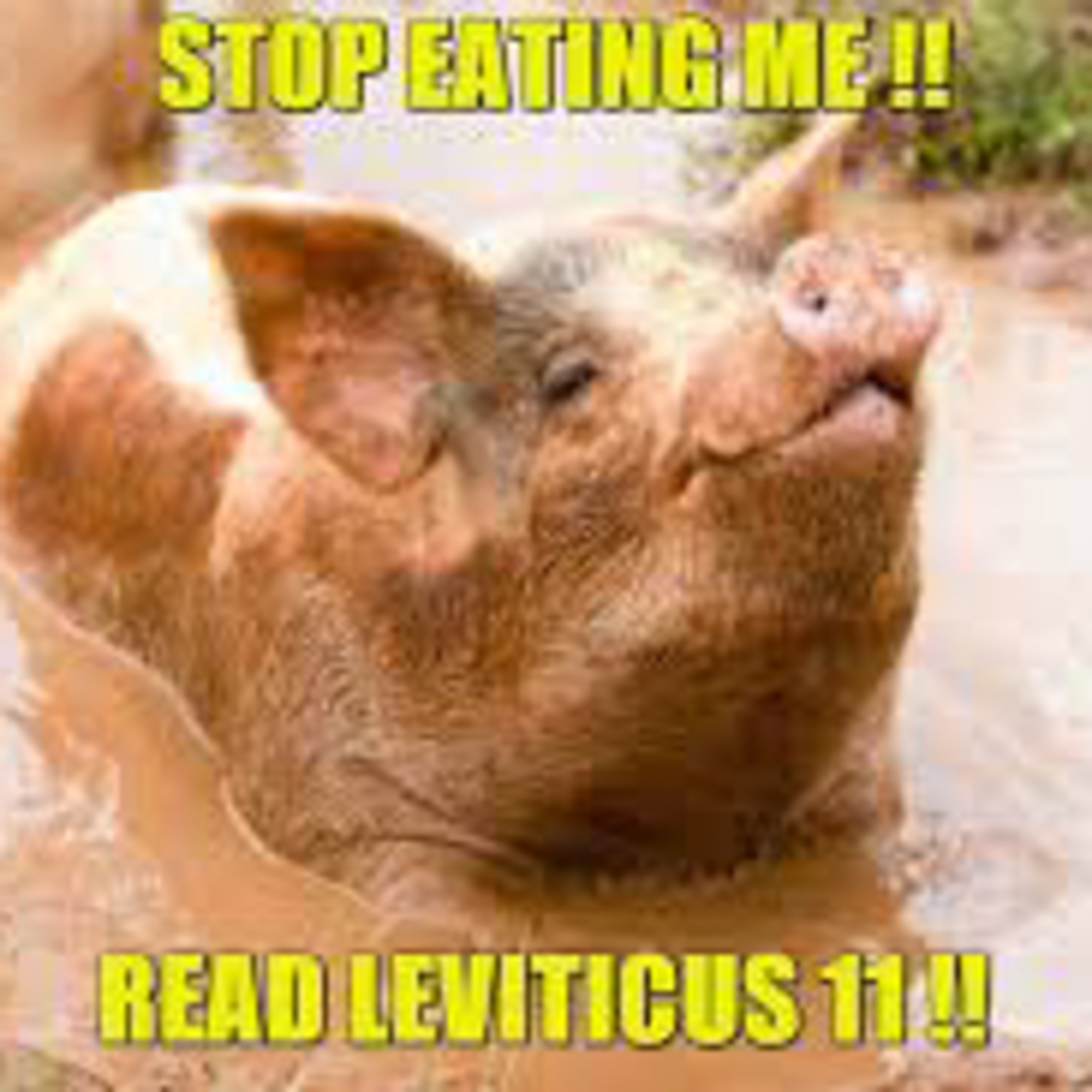 Stop eating Pork & follow Gods law! episode artwork