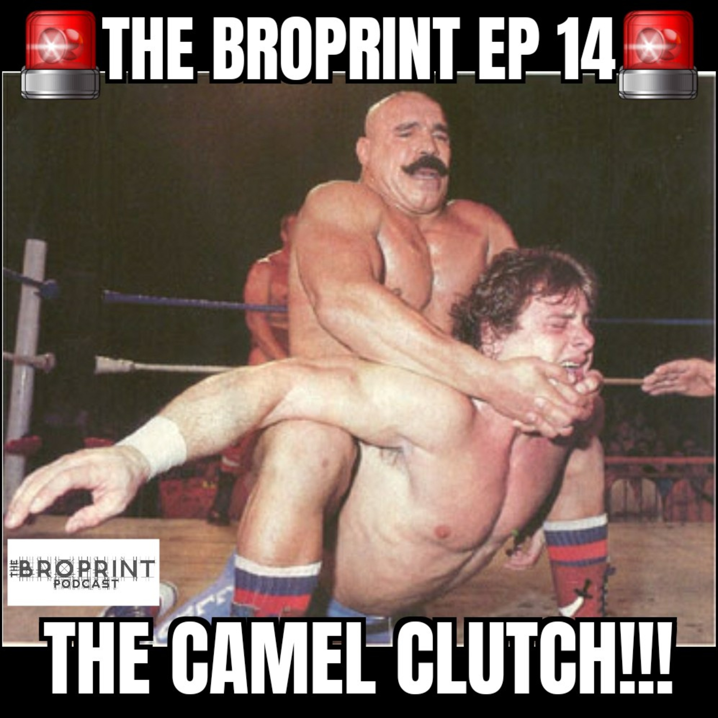 The Broprint