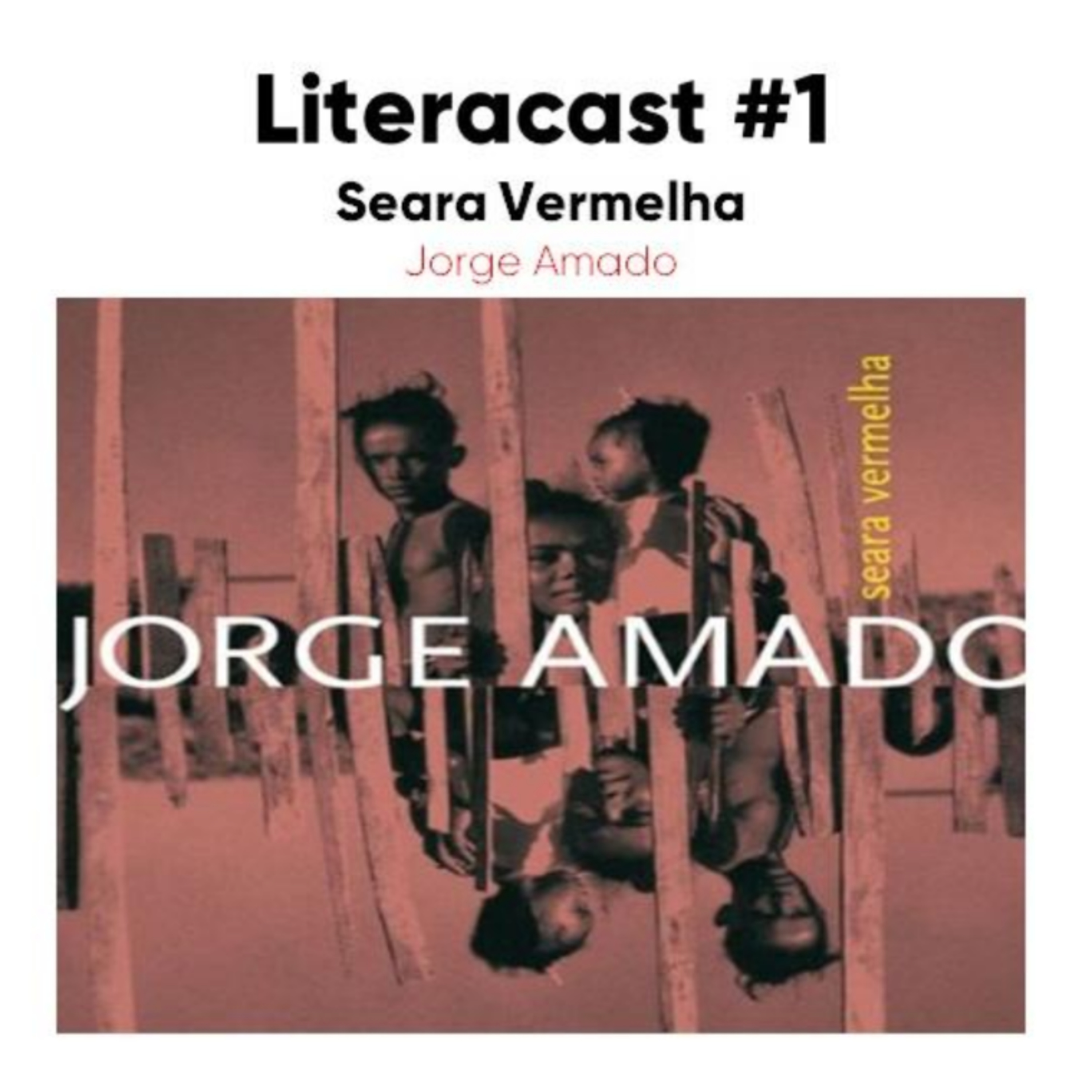 Seara Vermelha - Jorge Amado