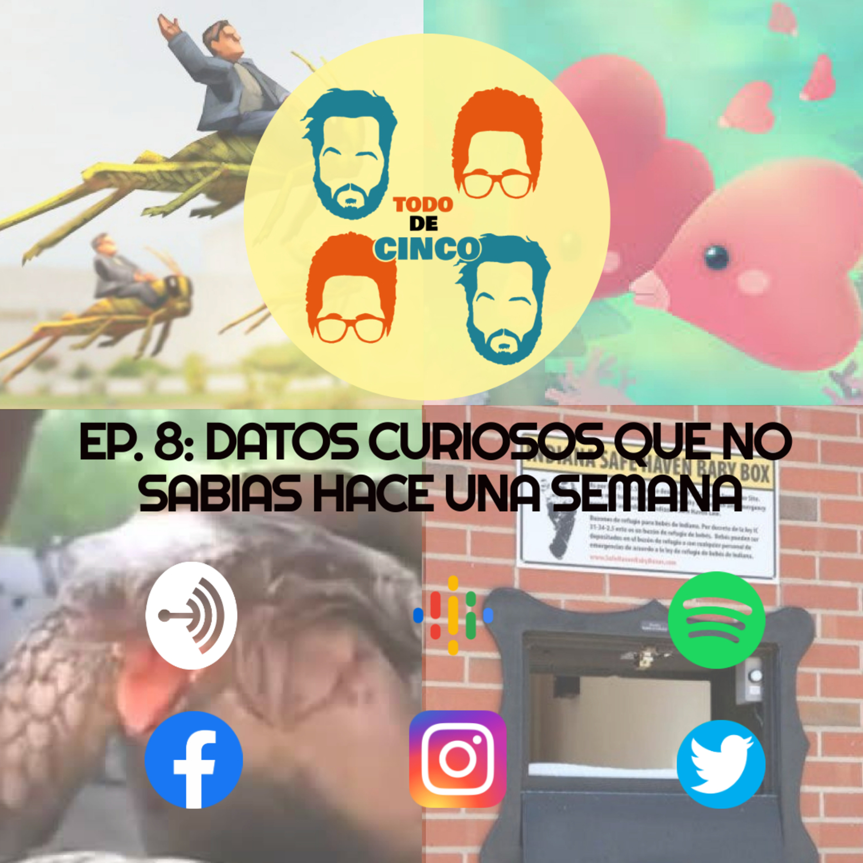 Todo de Cinco