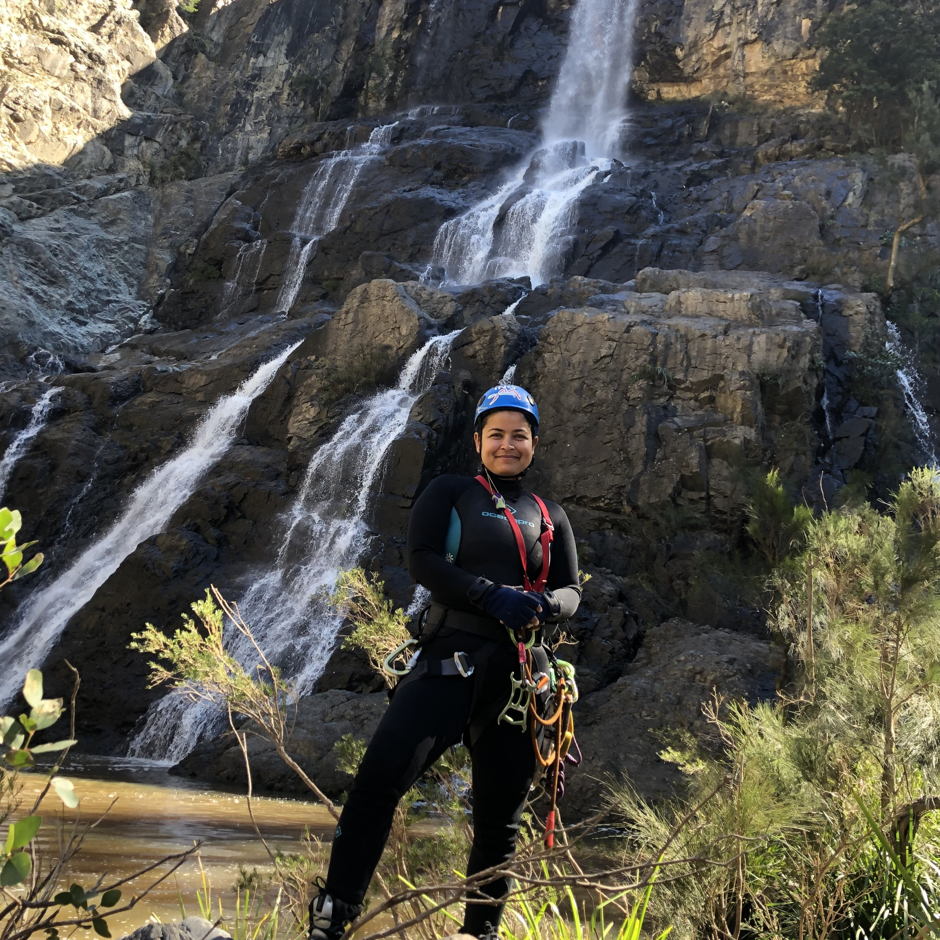 Bushwalkers Diary